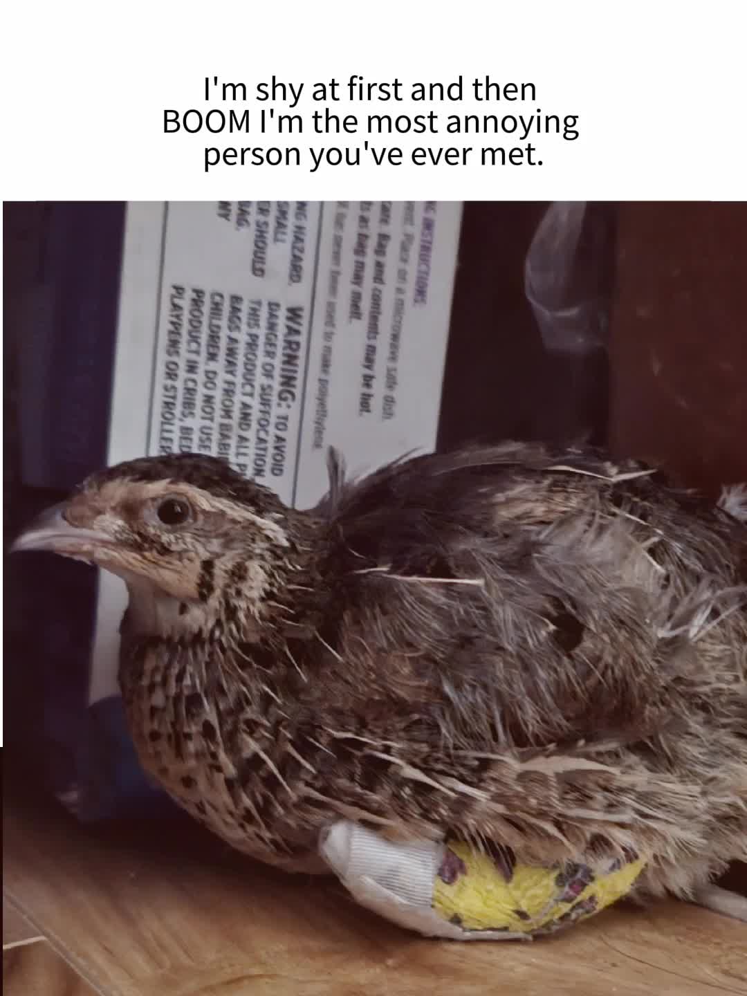 @birdlover123:)