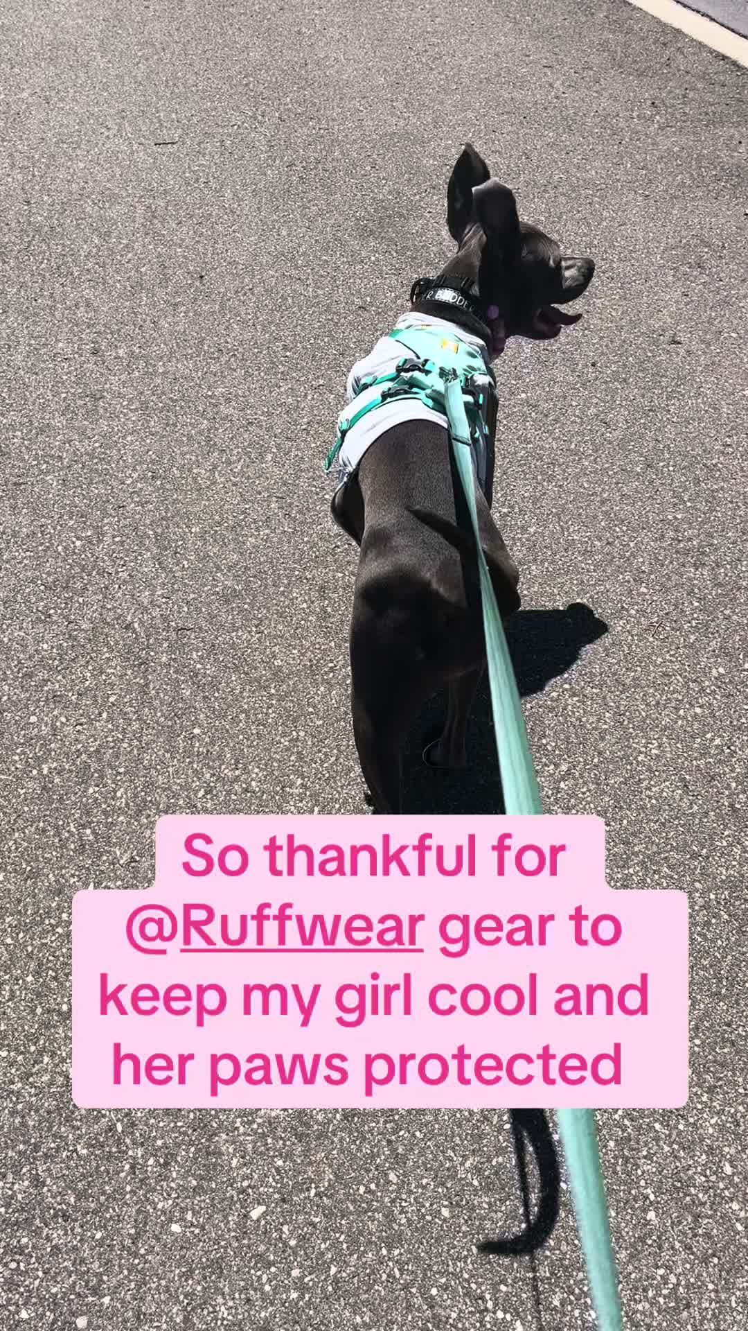 @Ivy the pitty