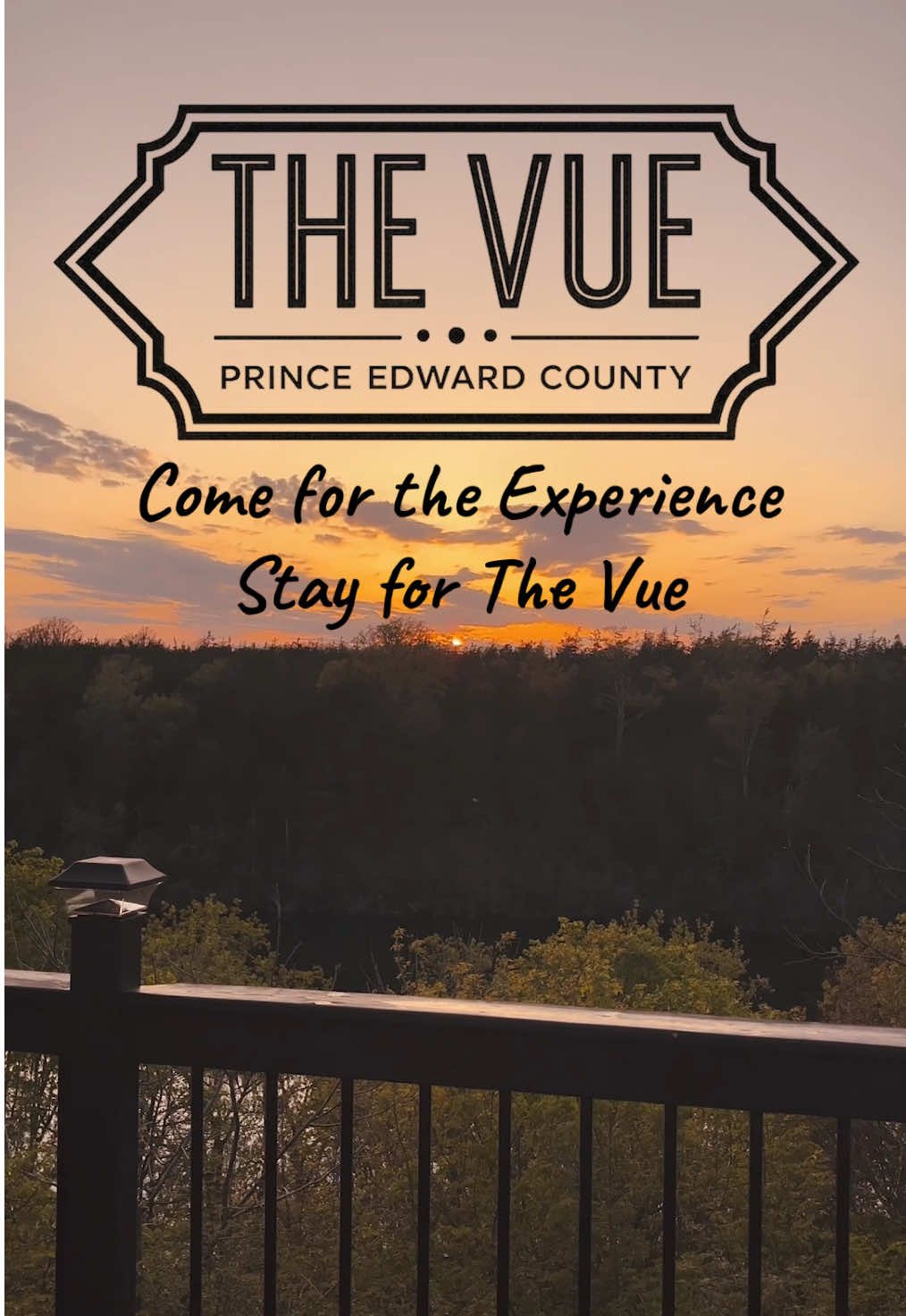 @The Vue