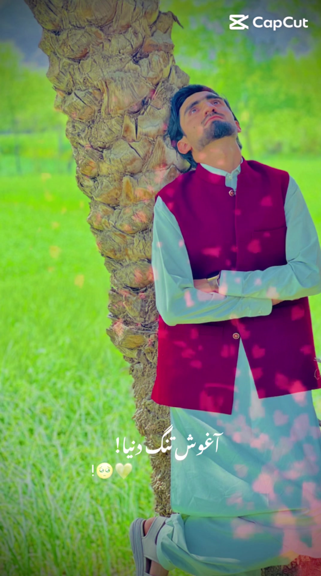 @Saidmustafa Abassi