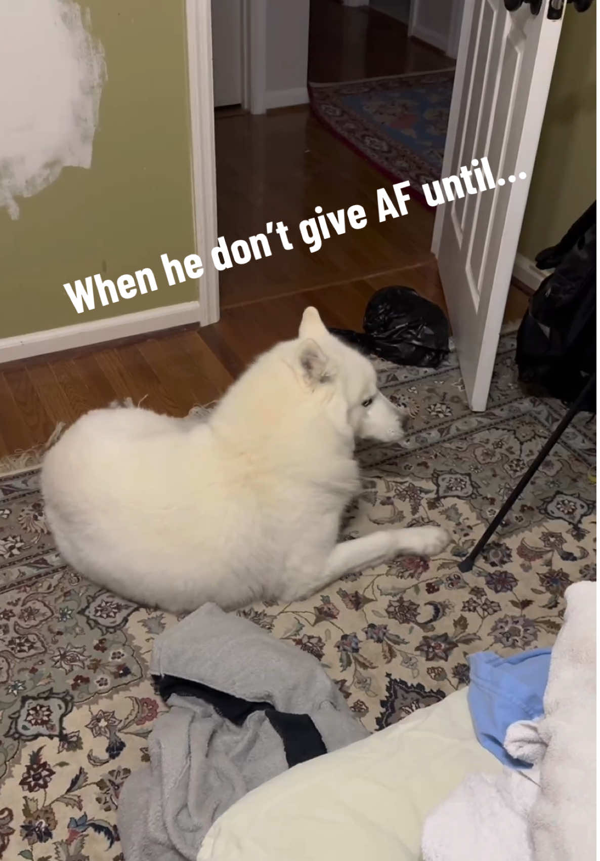 @Tundra