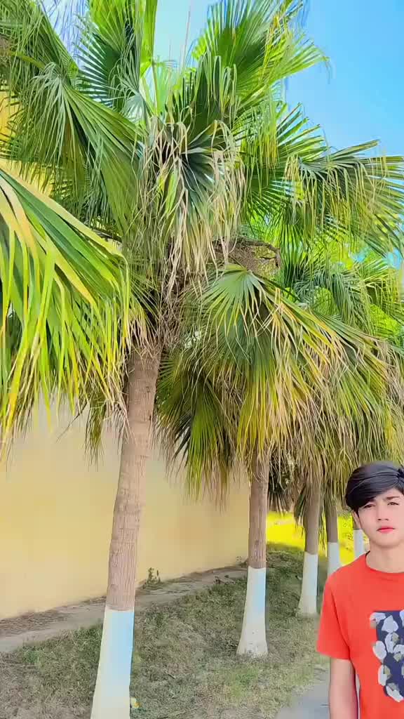 @💫786_ ارسلہ خان💫