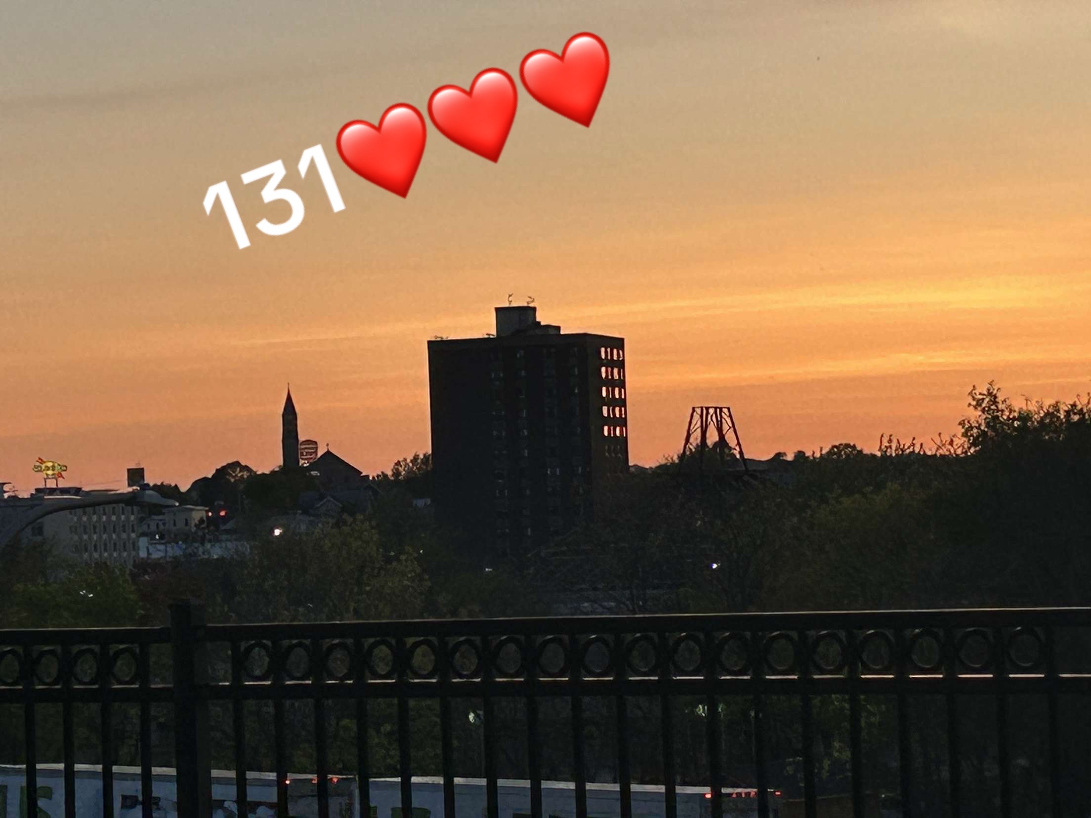@D+L❤️♾️