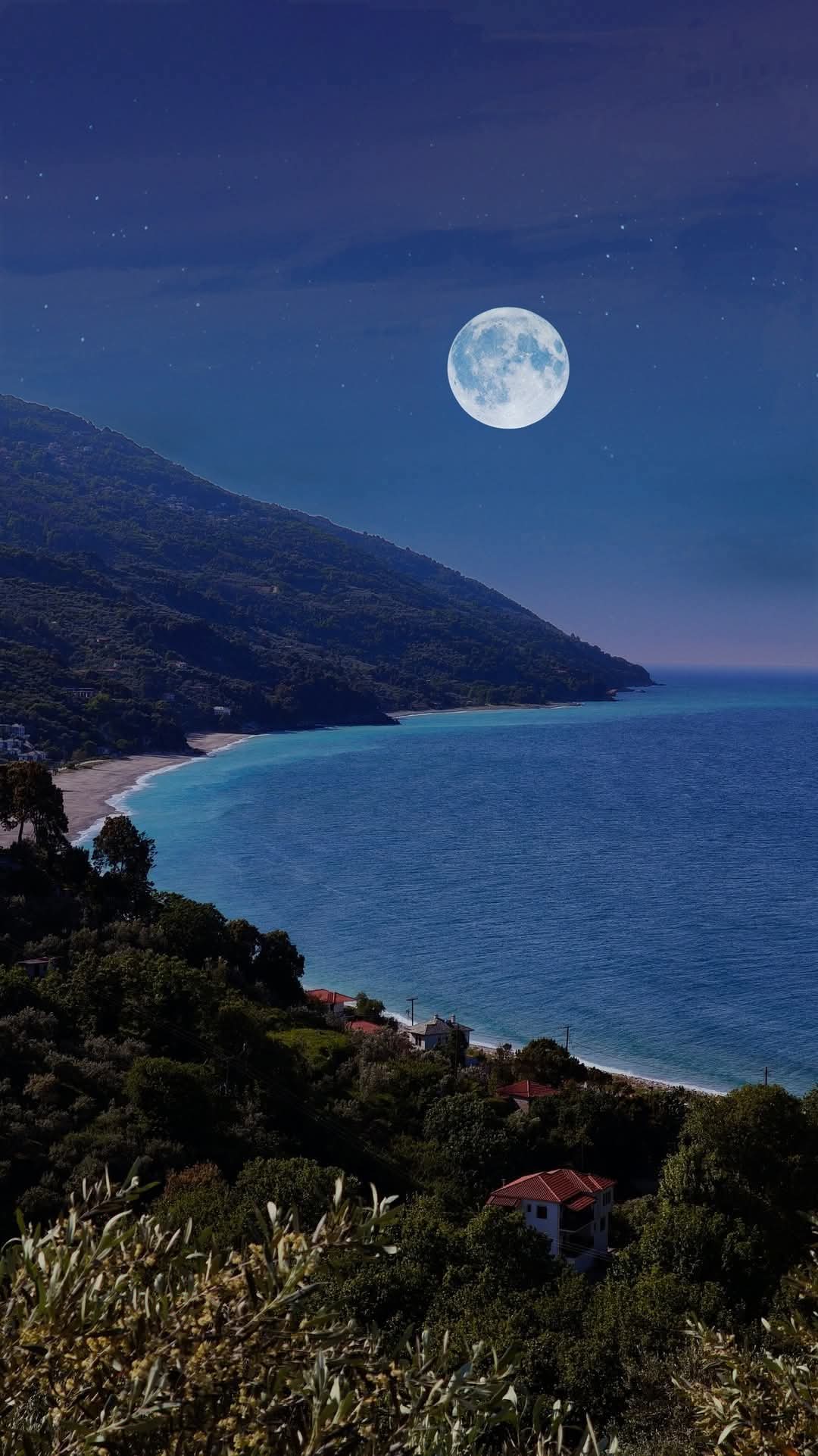 @dimitriskoutsogia0