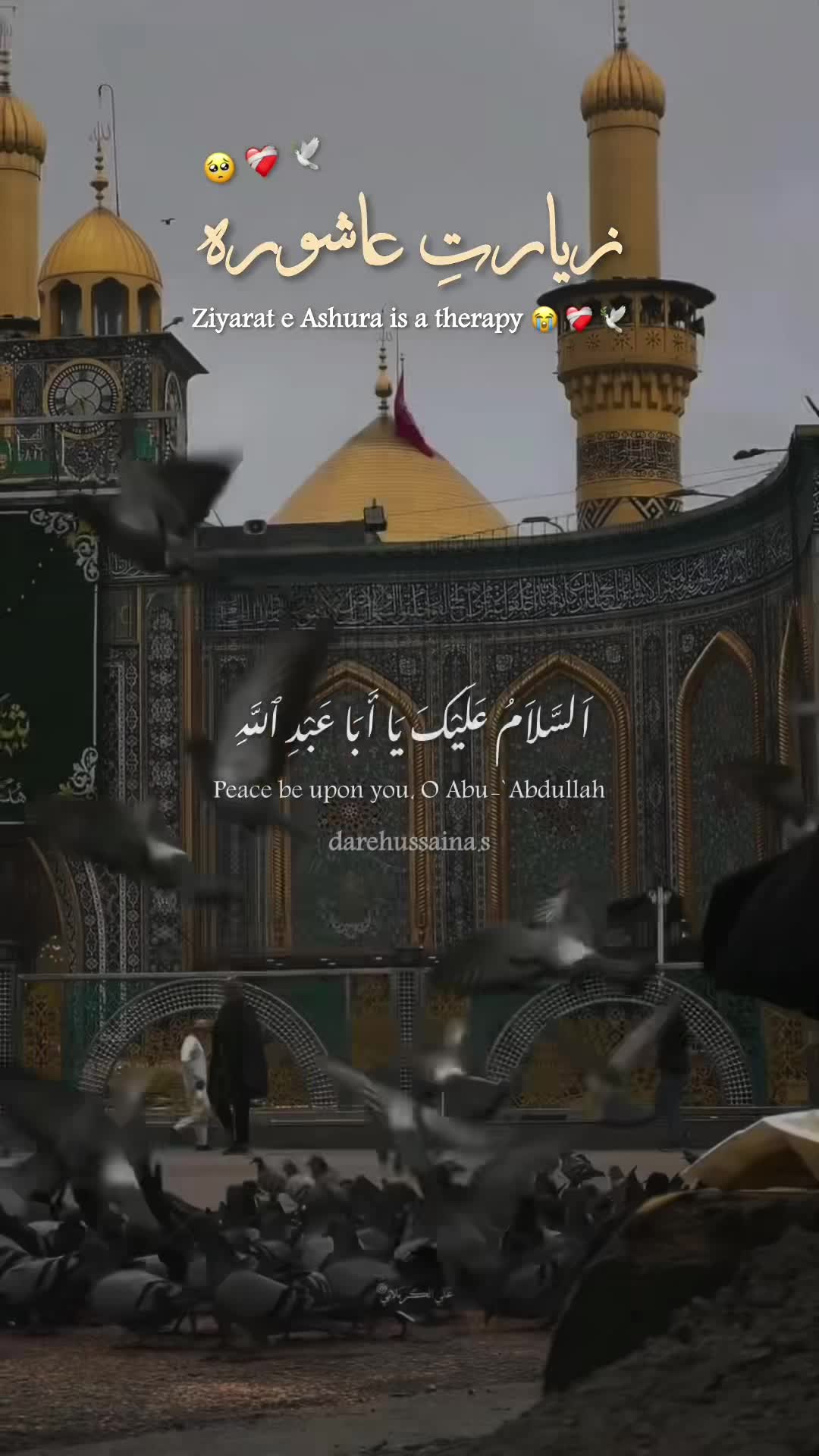 @Dar e Hussain a.s