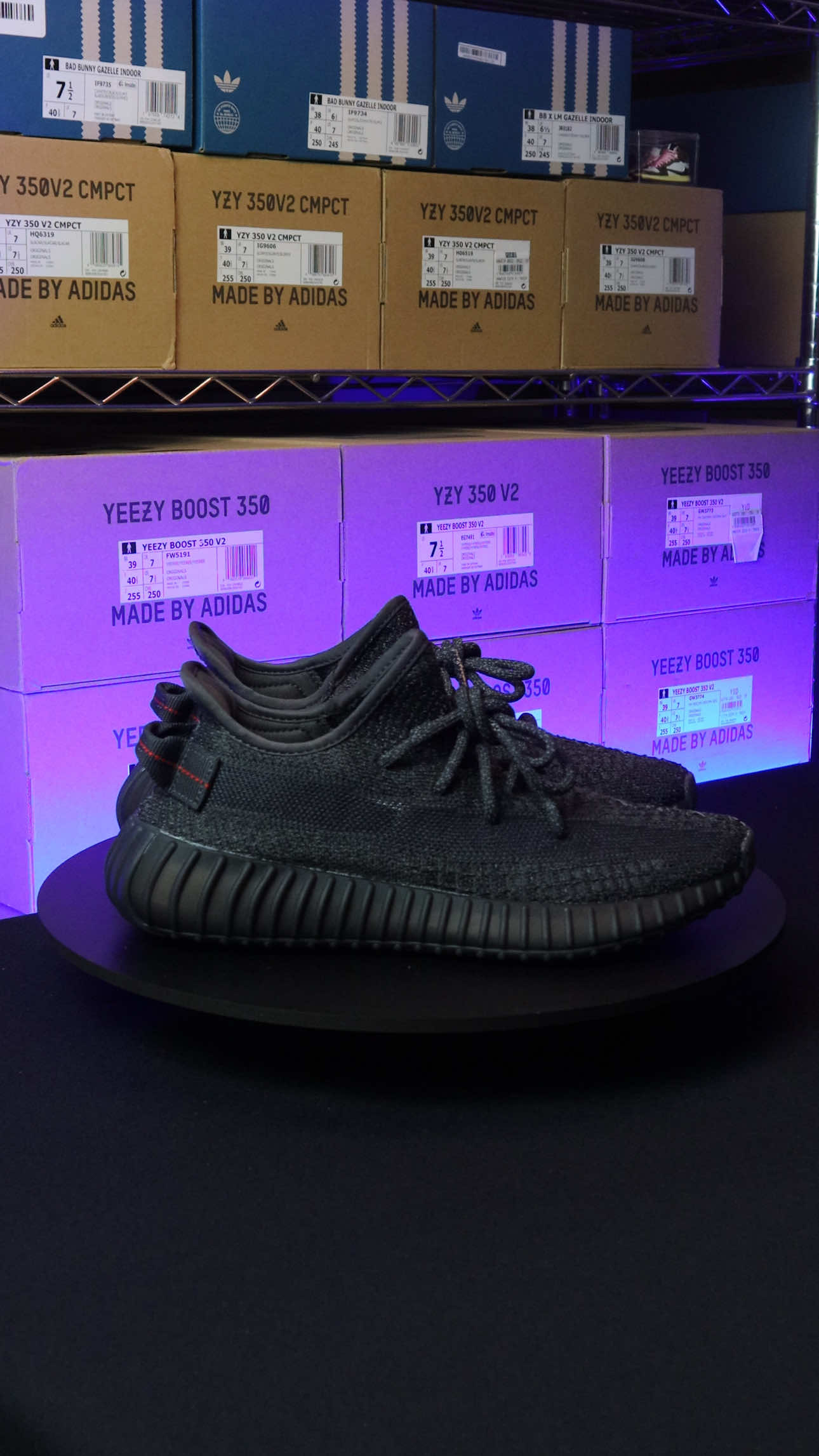 @Sneakers Rotation