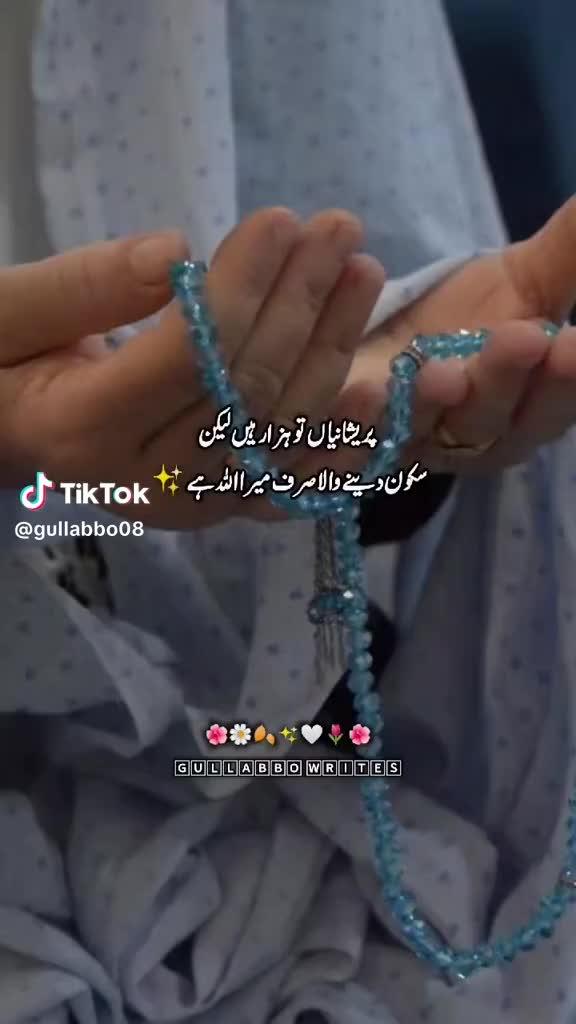 @ariba.bhatti