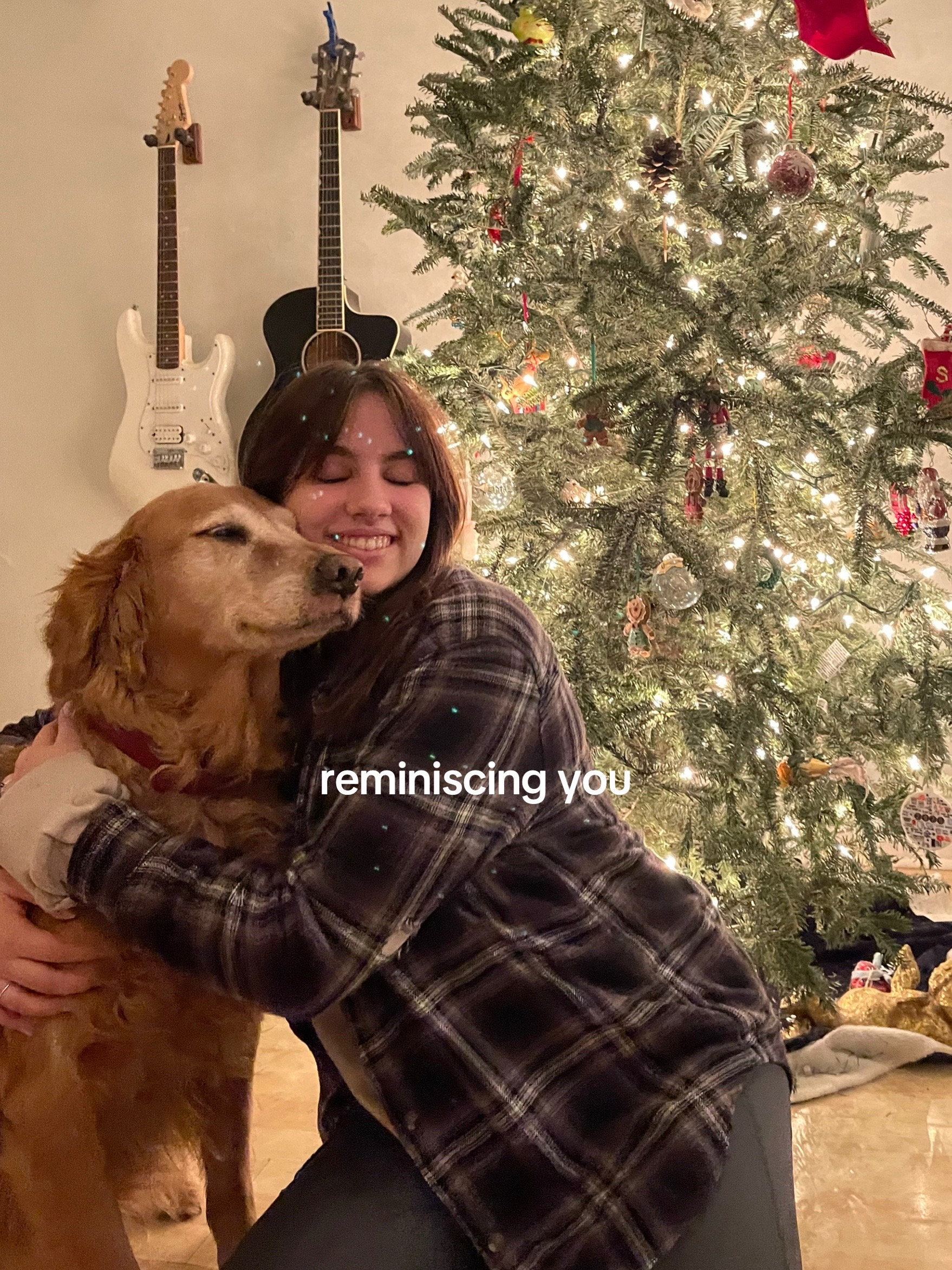 @Finn the Shepsky