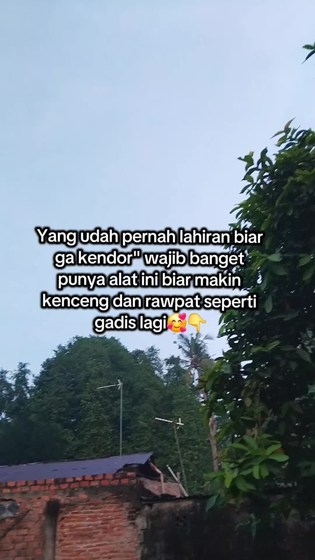 @fifi