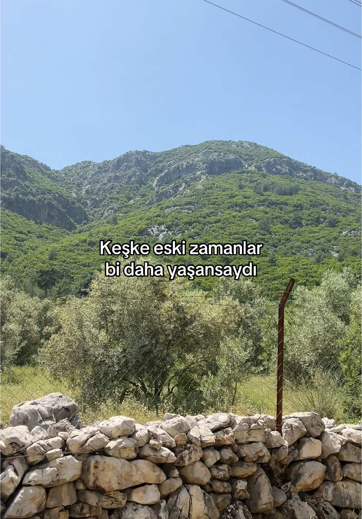 @Yusuf