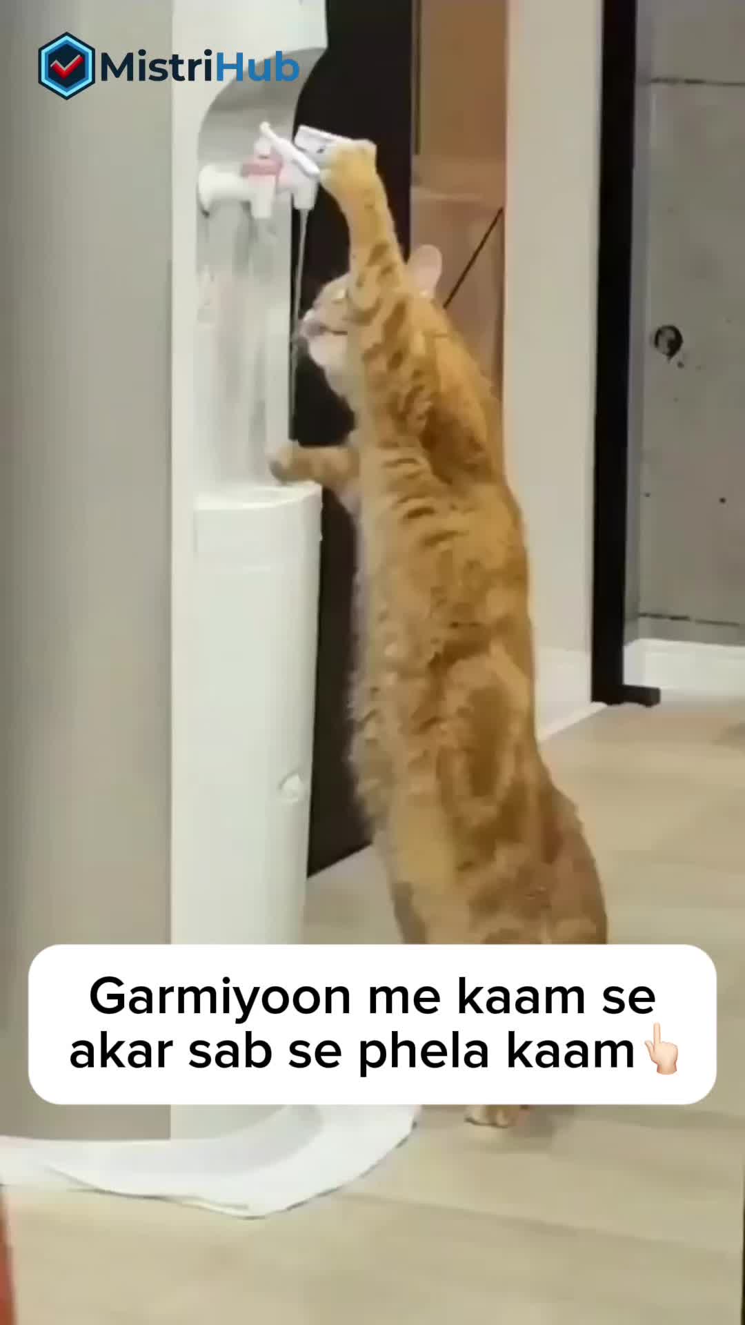@MistriHub
