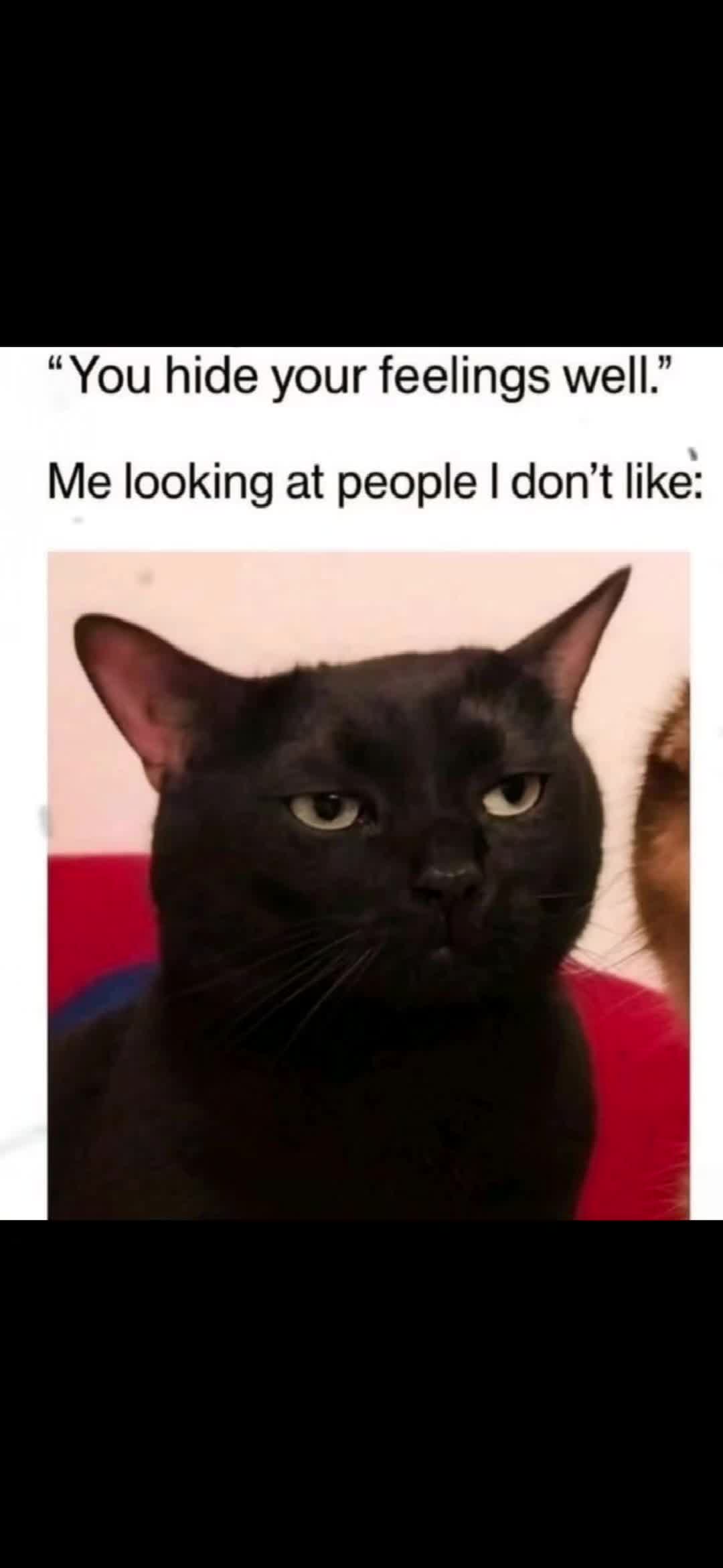 @TheMemeBender
