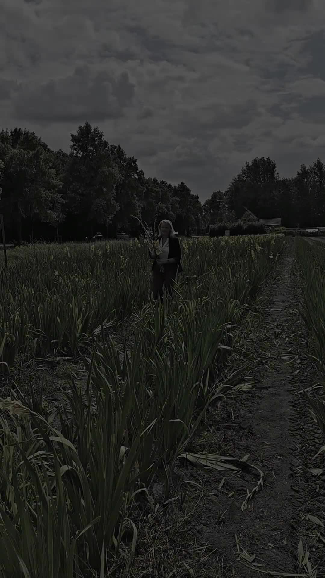 @Nelly 🇩🇪 Нелля 🇰🇿🕊