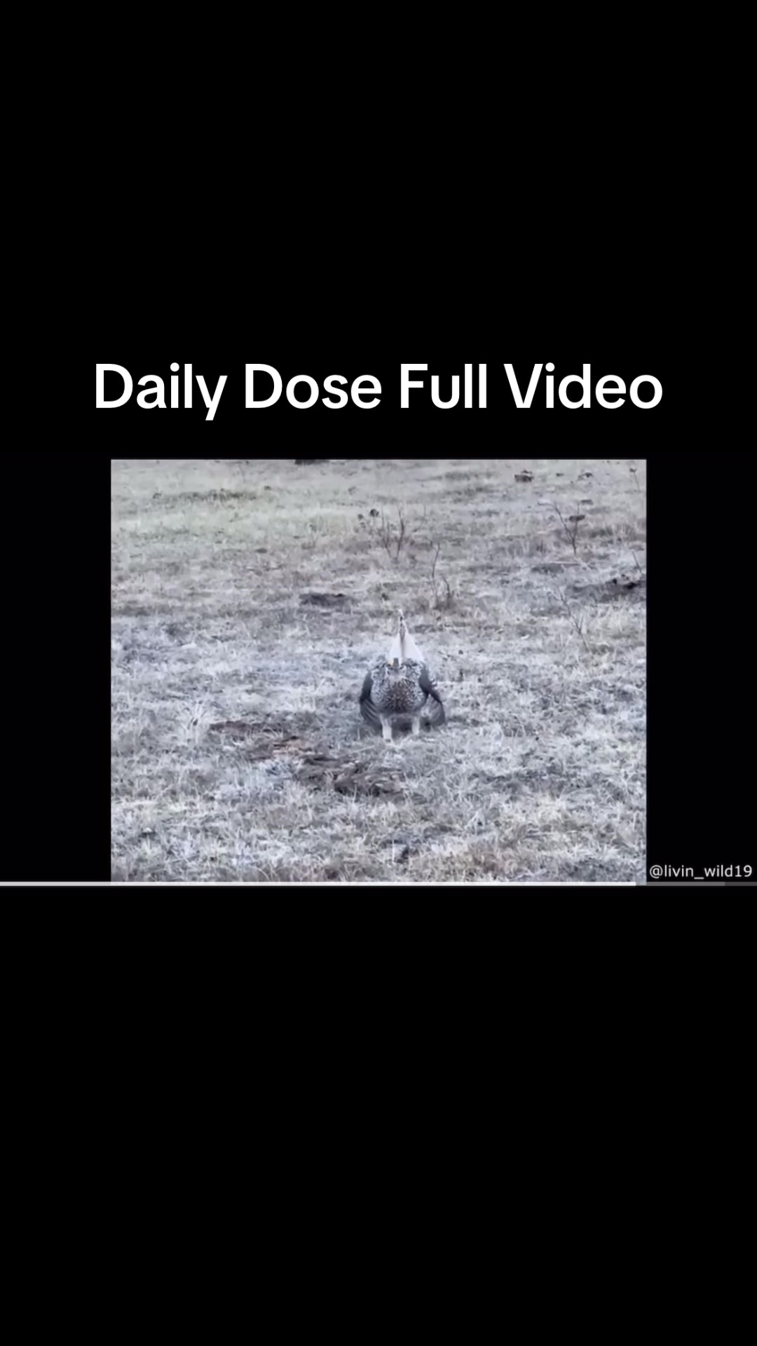 @TheDailyDoseRepost