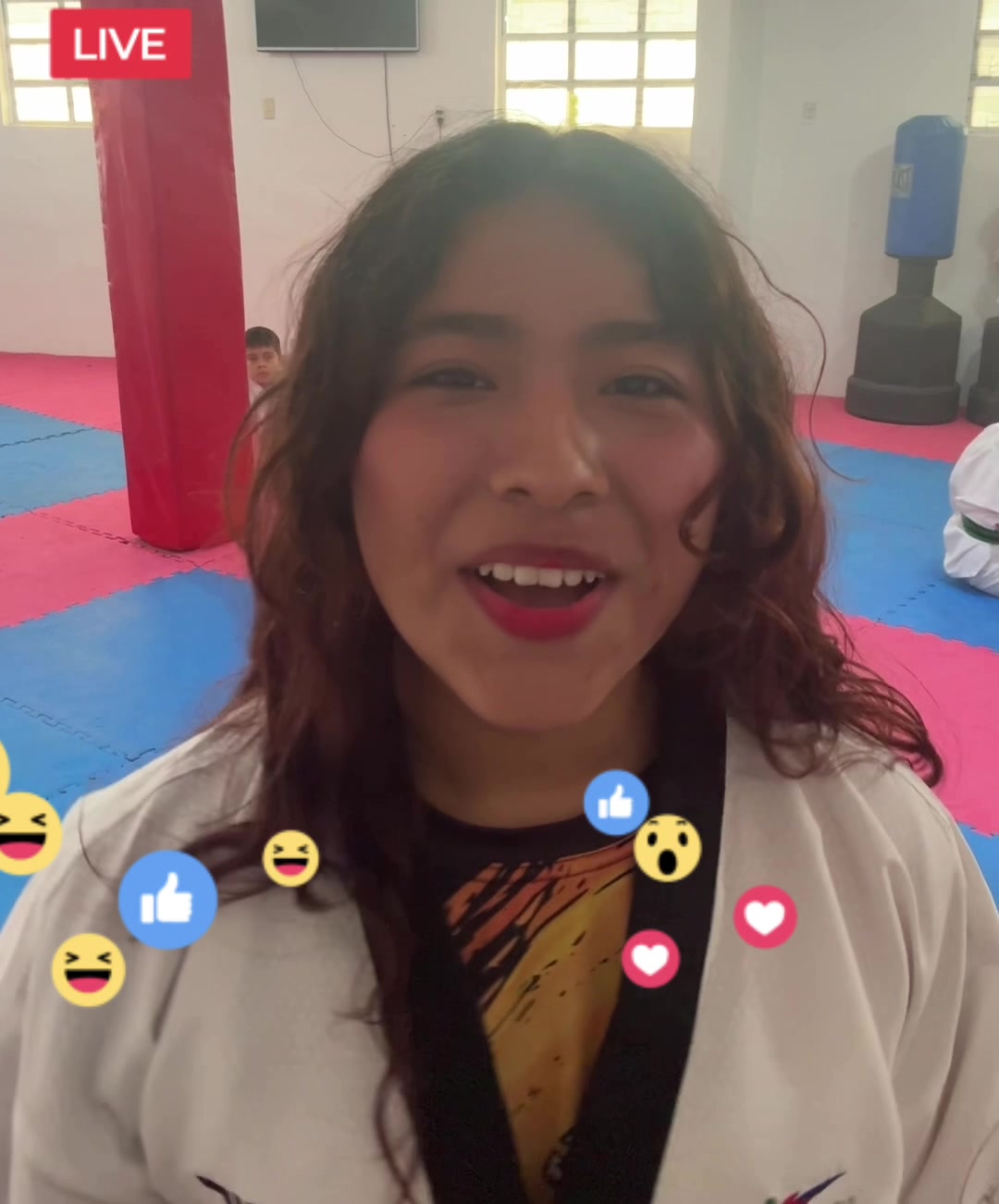 @taekwondolionsteam