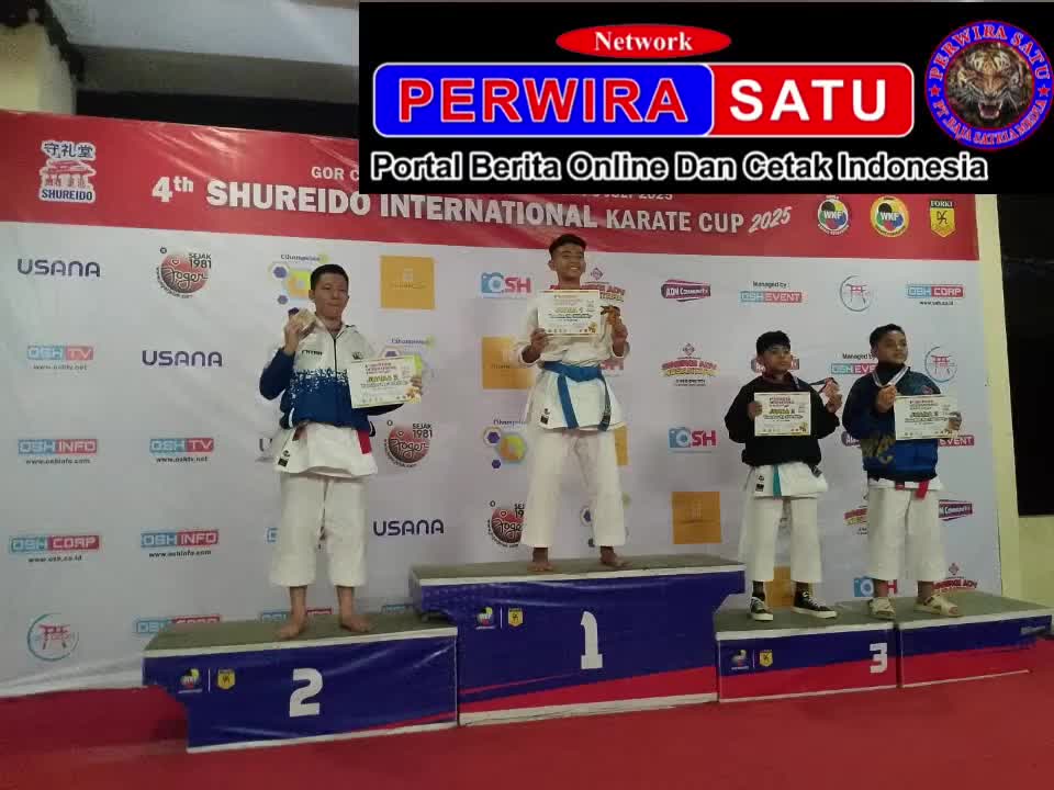@perwirasatu.co.id