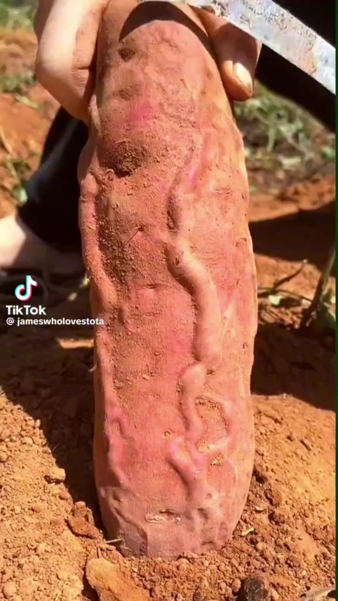 @Cail.Snail08