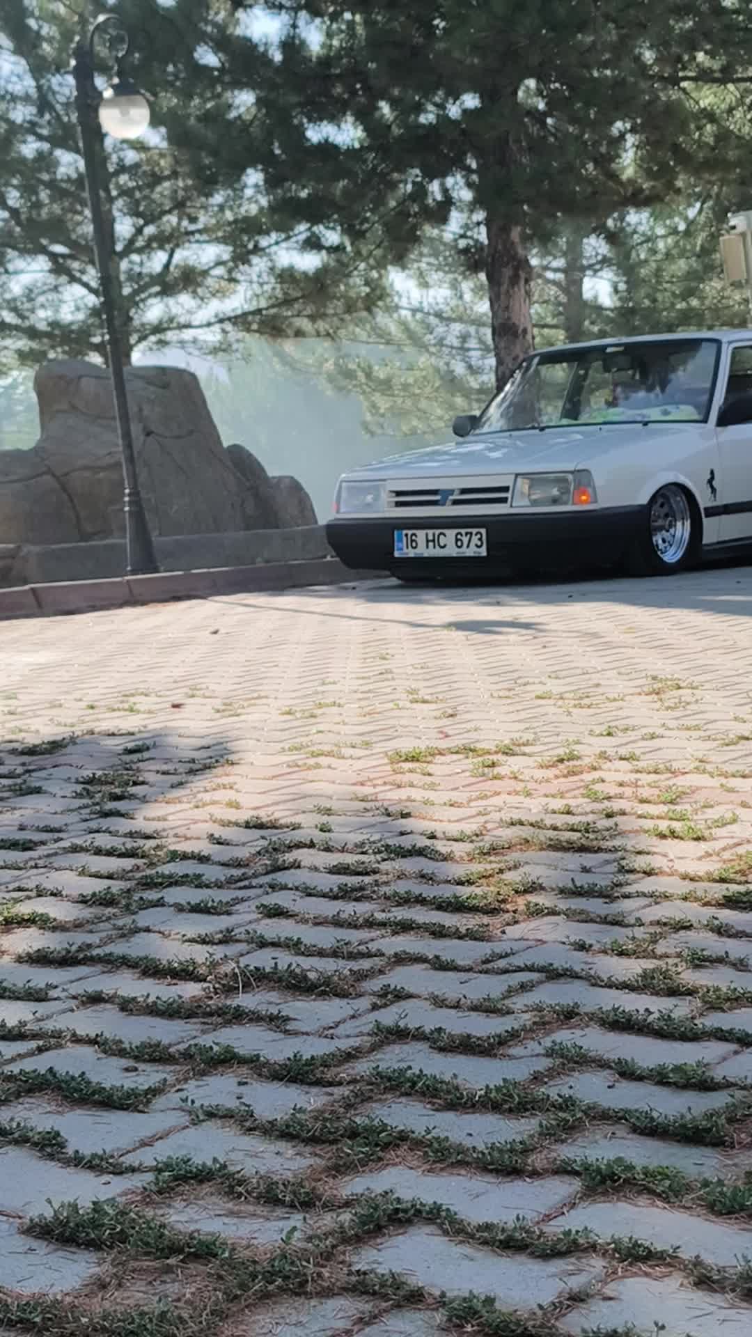 @dogan s'in aga babası