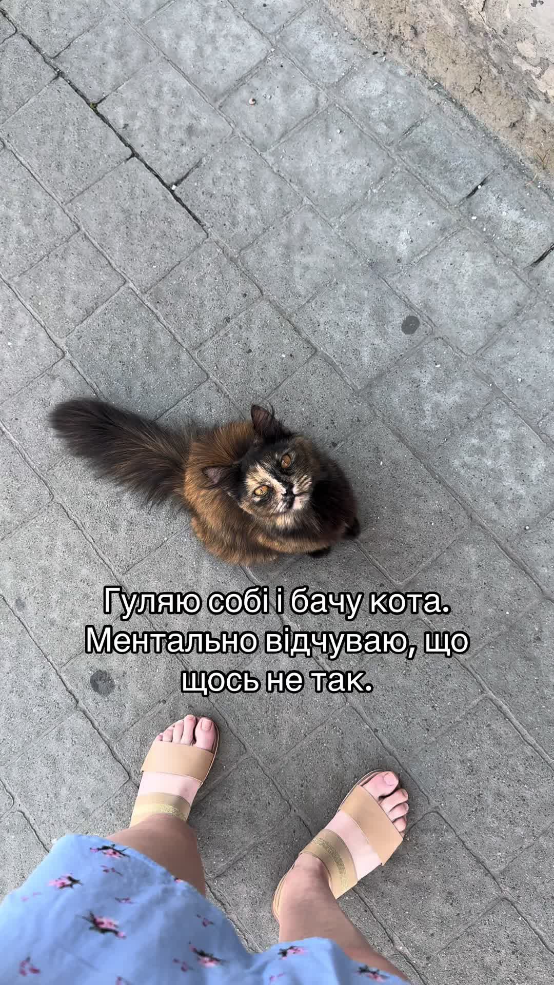@Корнелія Удовенко