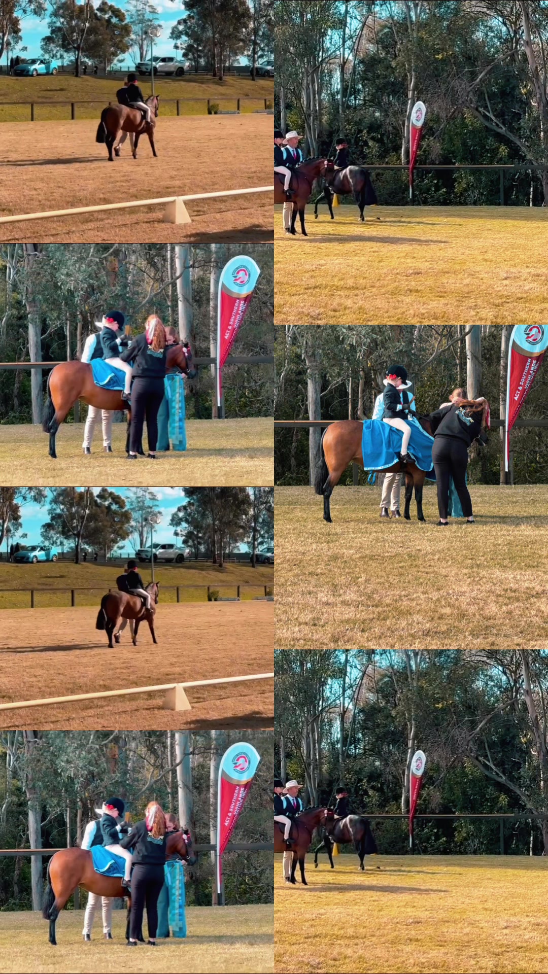 @RV Park Show Ponies