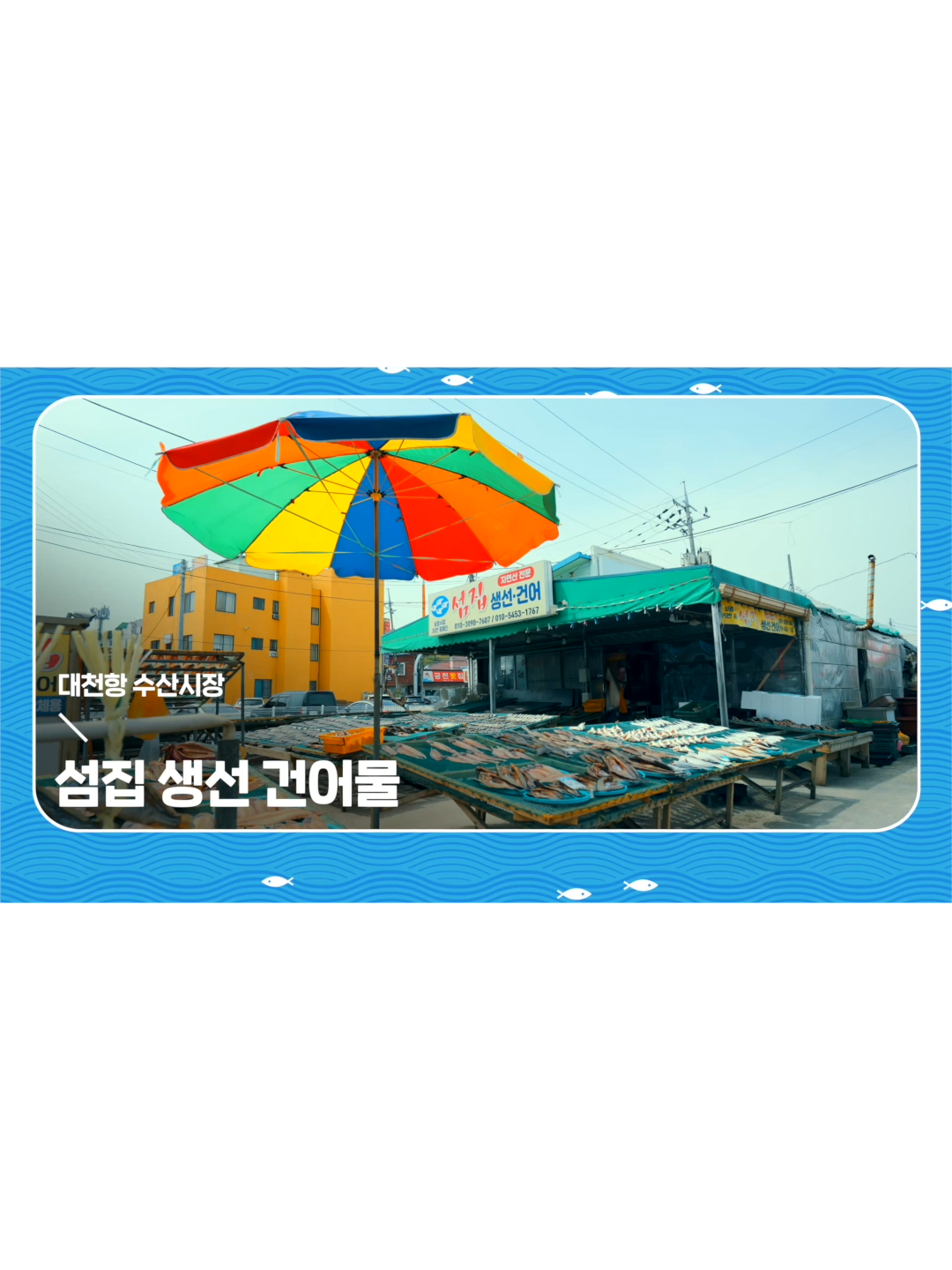@대천항수산시장