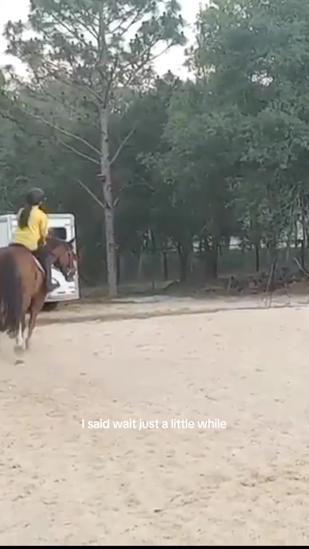 @Ella