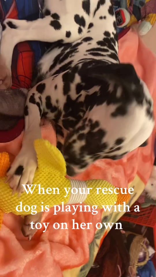 @lazywitch66
