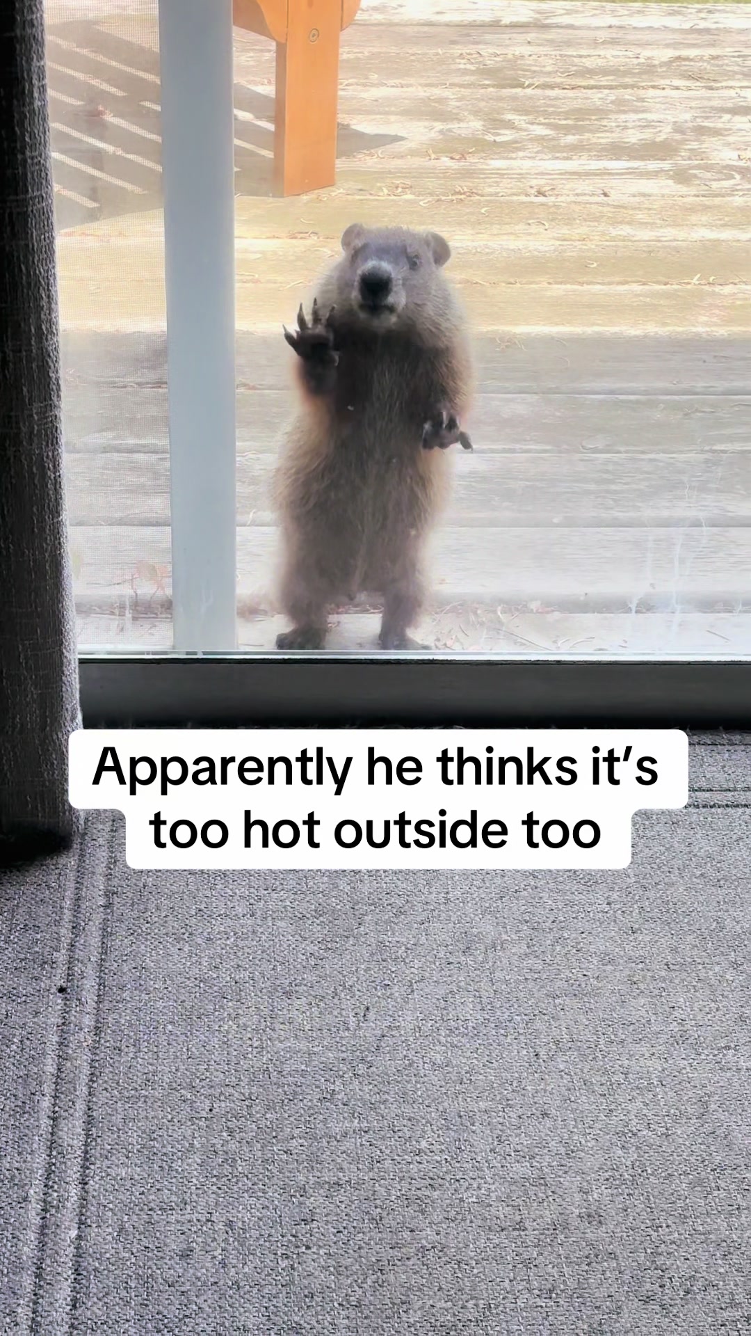 @Lori K.