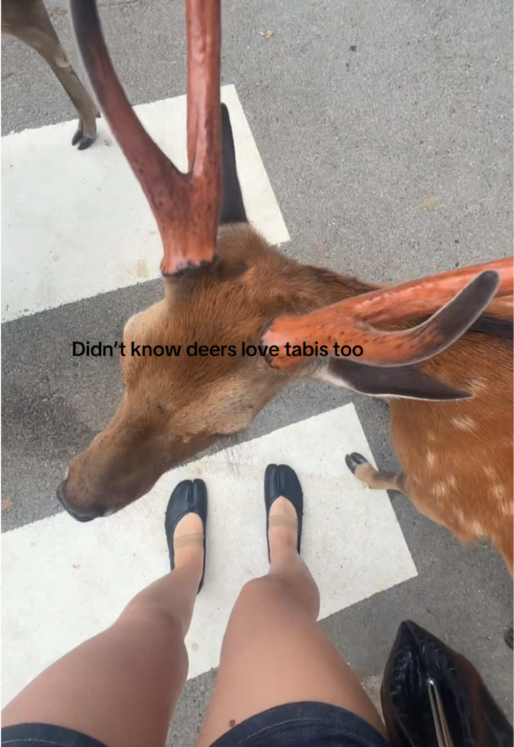 @mschrome