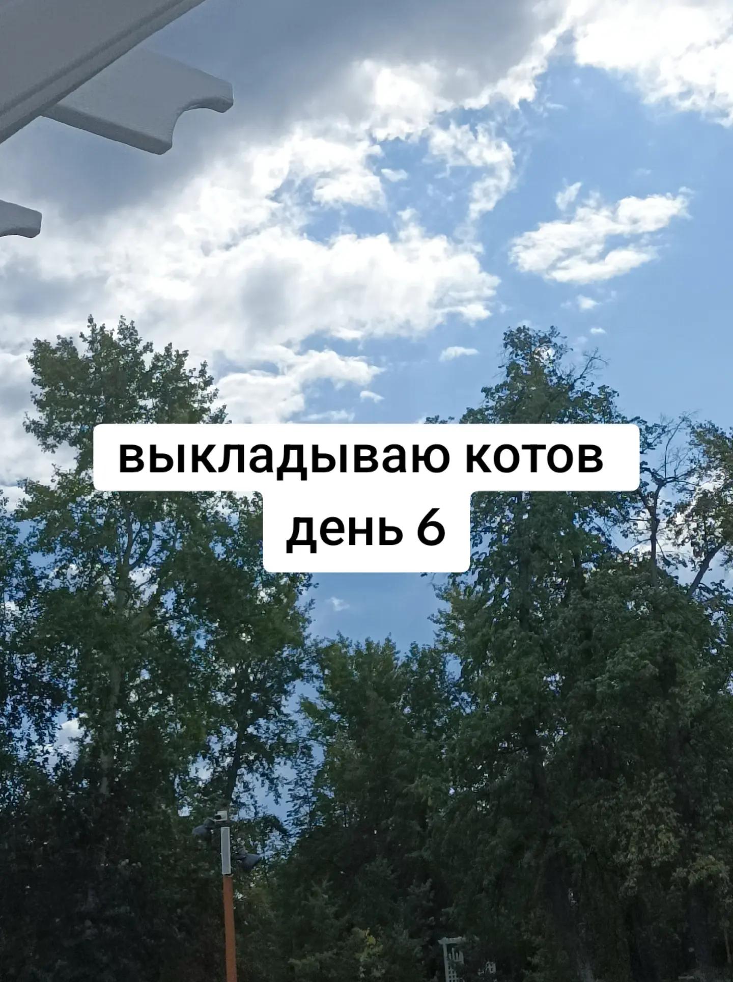 @Доктор Врач • друзья
