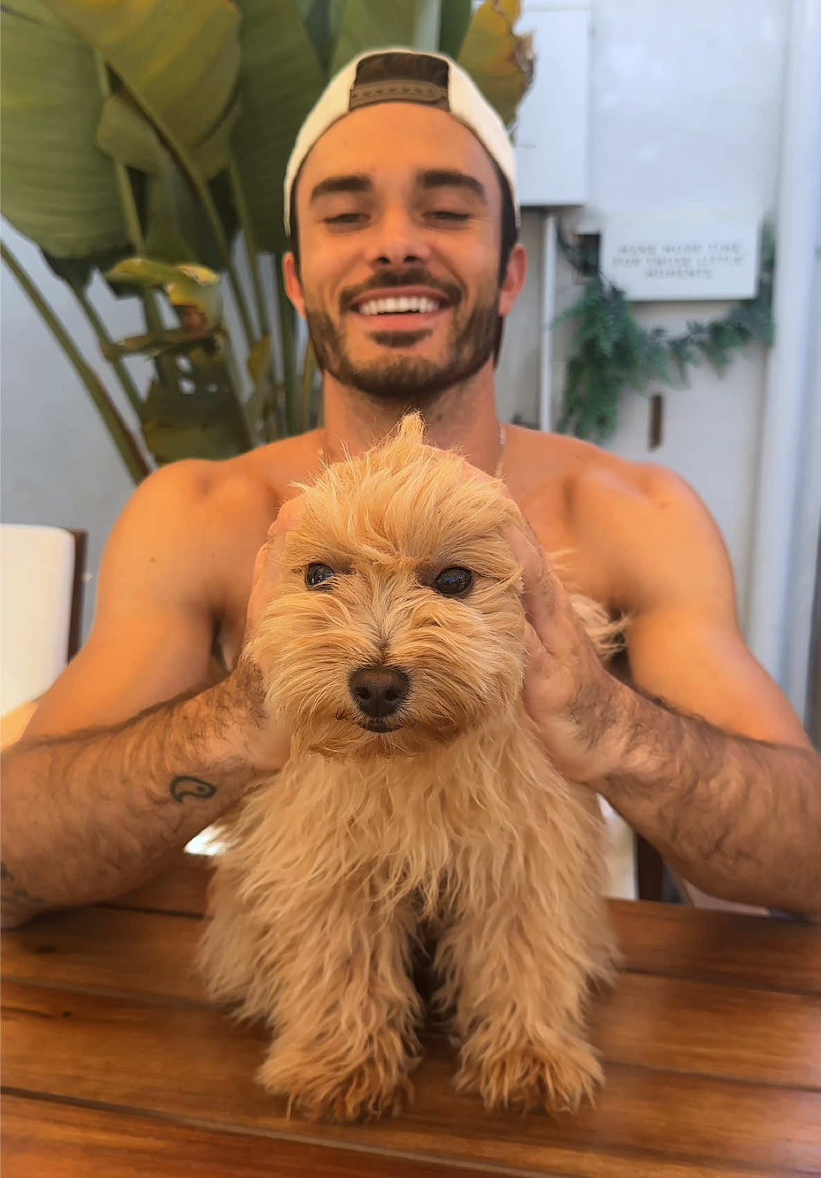 @Honey The Pomapoo 🧸