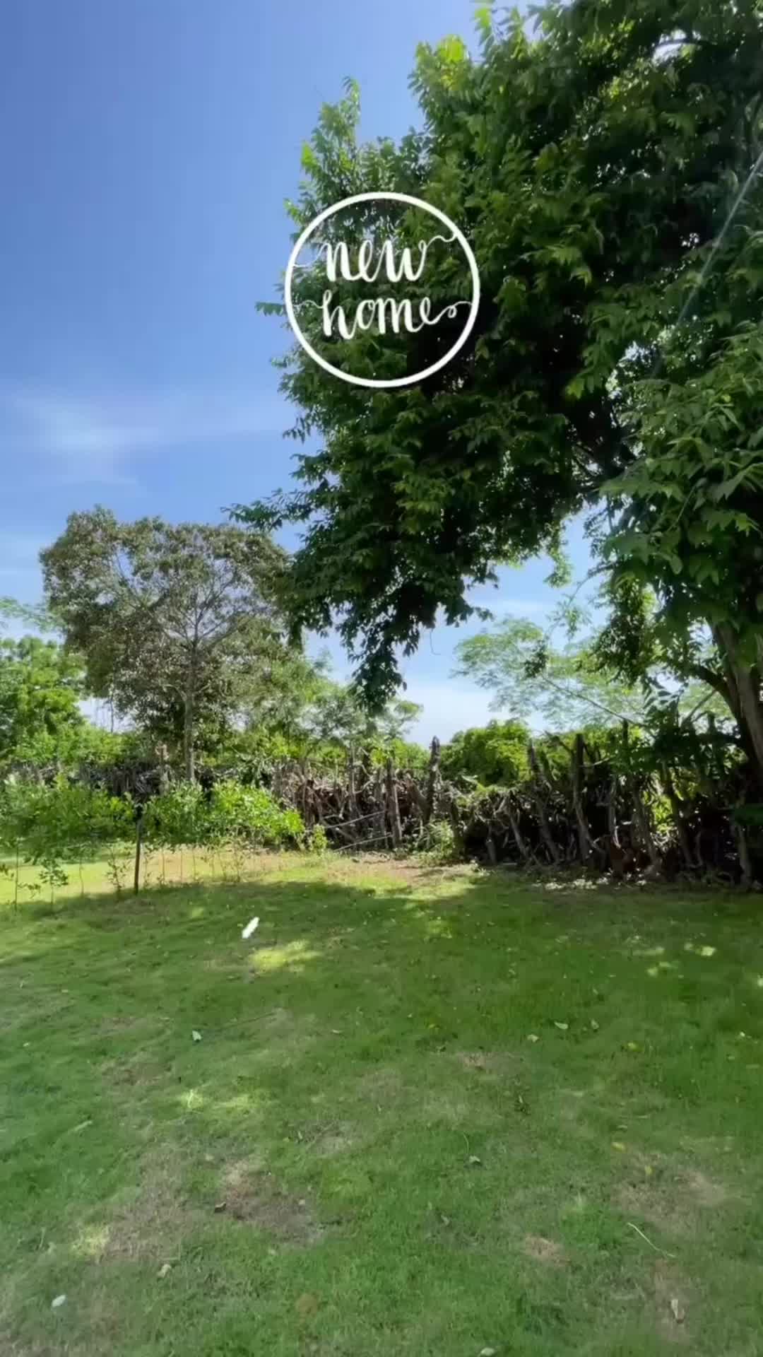 @Lorena G&oacute;mez Noriega