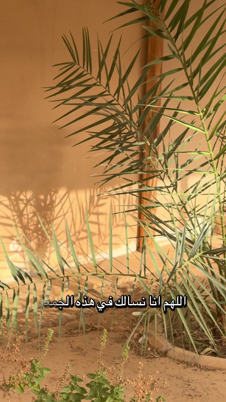 @..HAYA..
