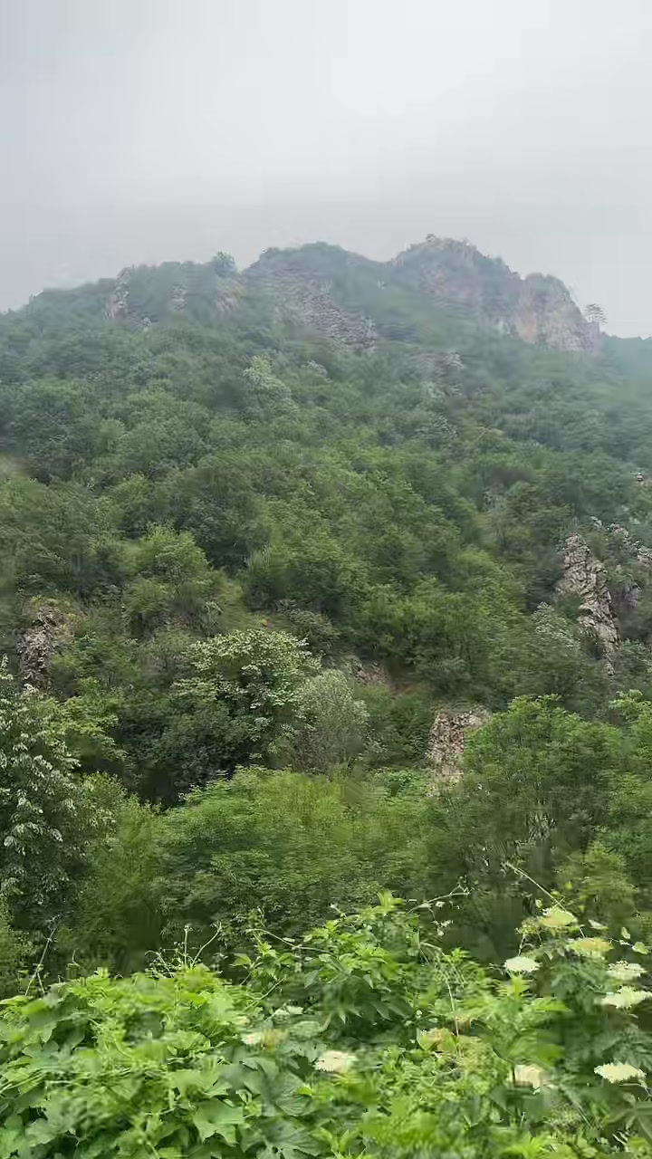 @🇧🇬❤️г-жа Миткова🤟🏳️&zwj;🌈