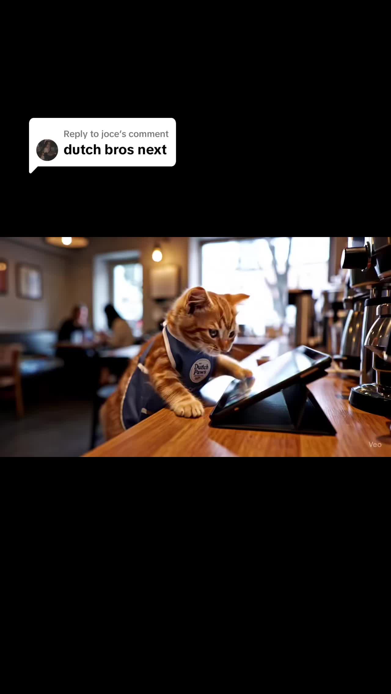 @jobs for cats