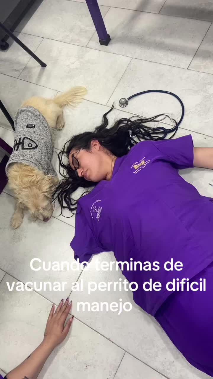 @Medipet
