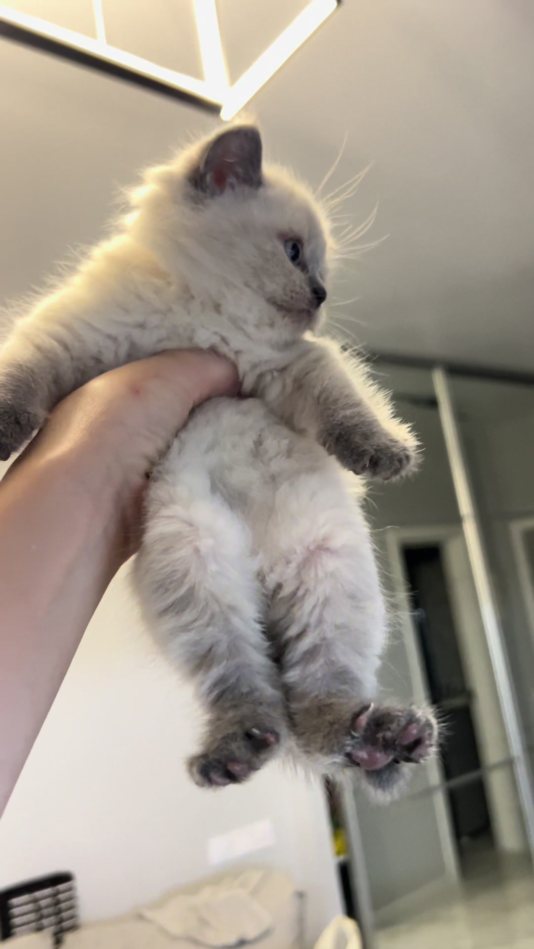 @Трускавецька киця 😻