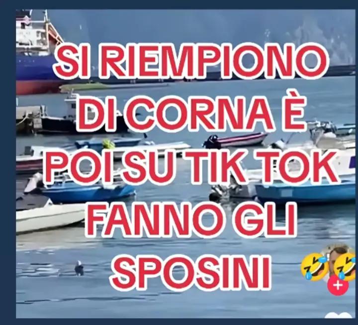 @quarterian