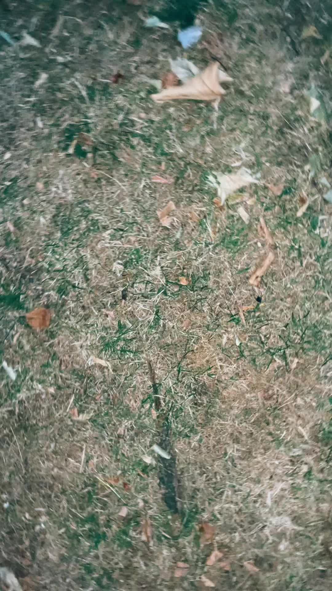 @d