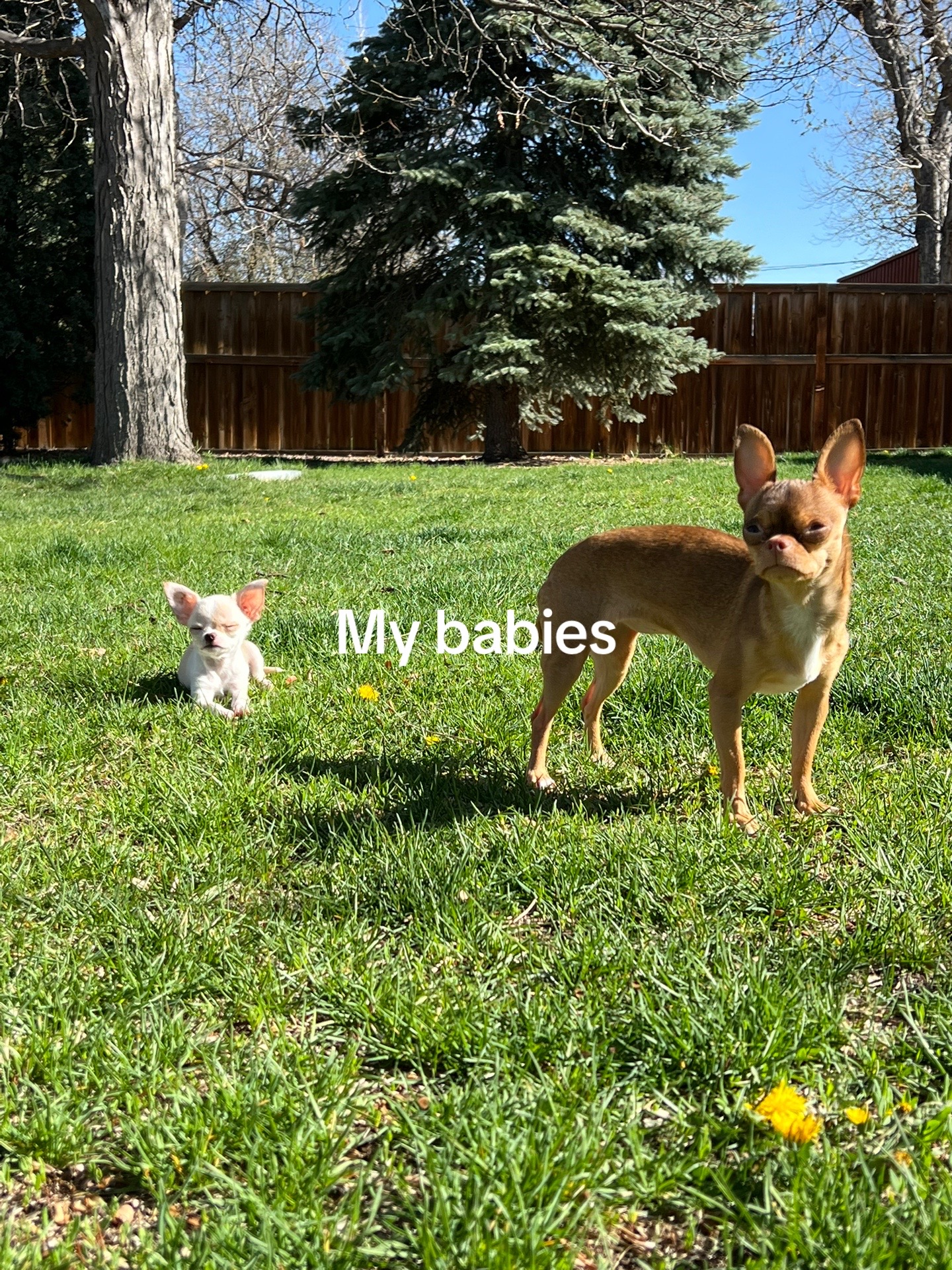 @Yumi