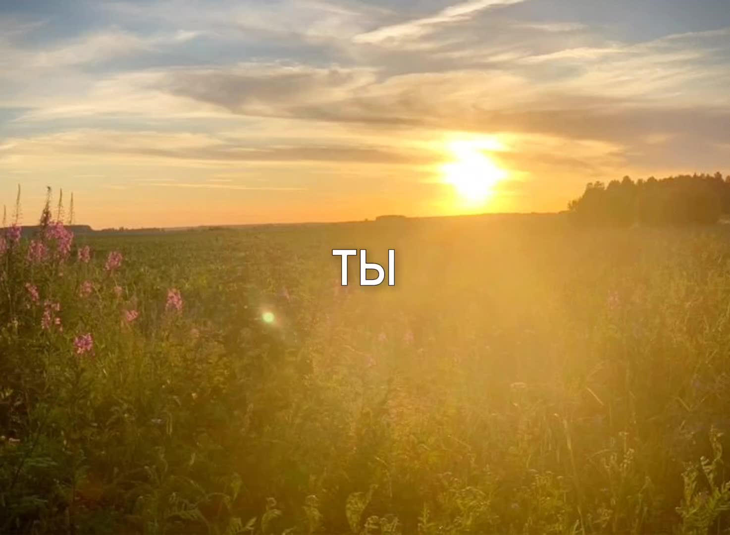 @🎶