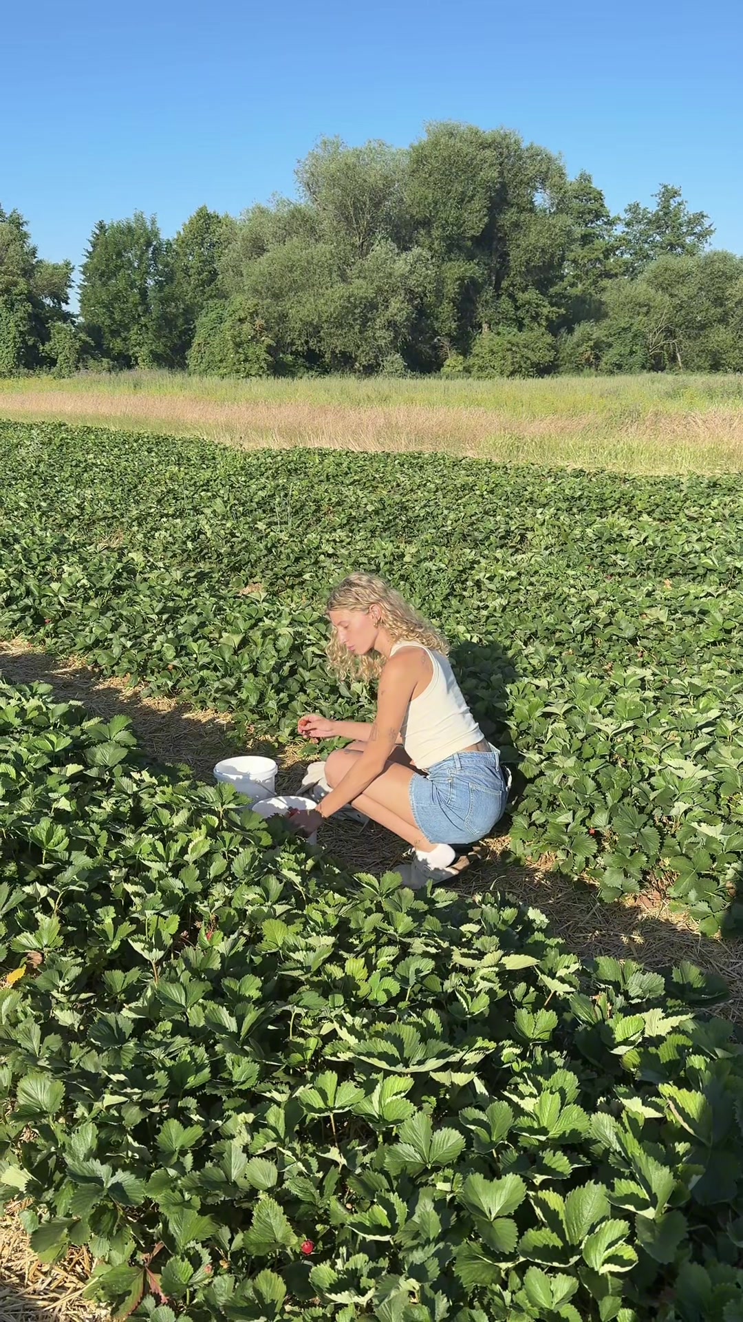 @sophiesarlak
