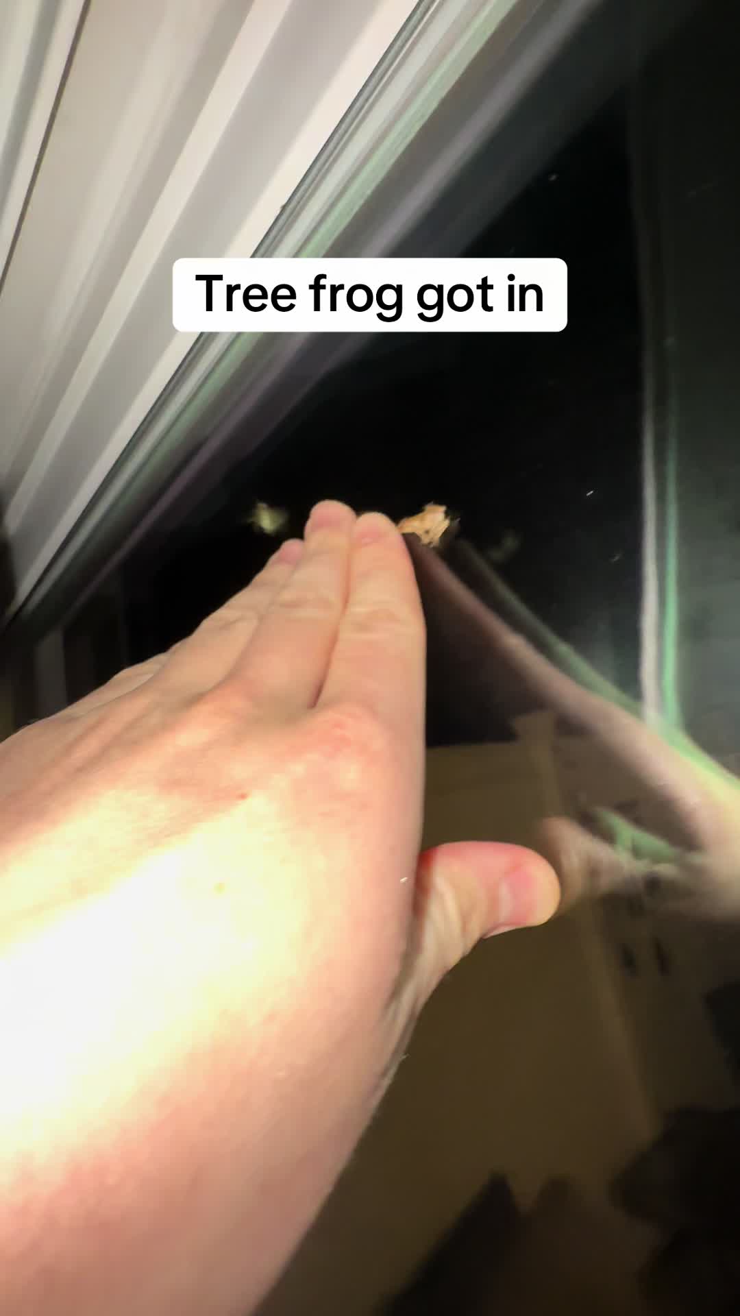 @Hughcox
