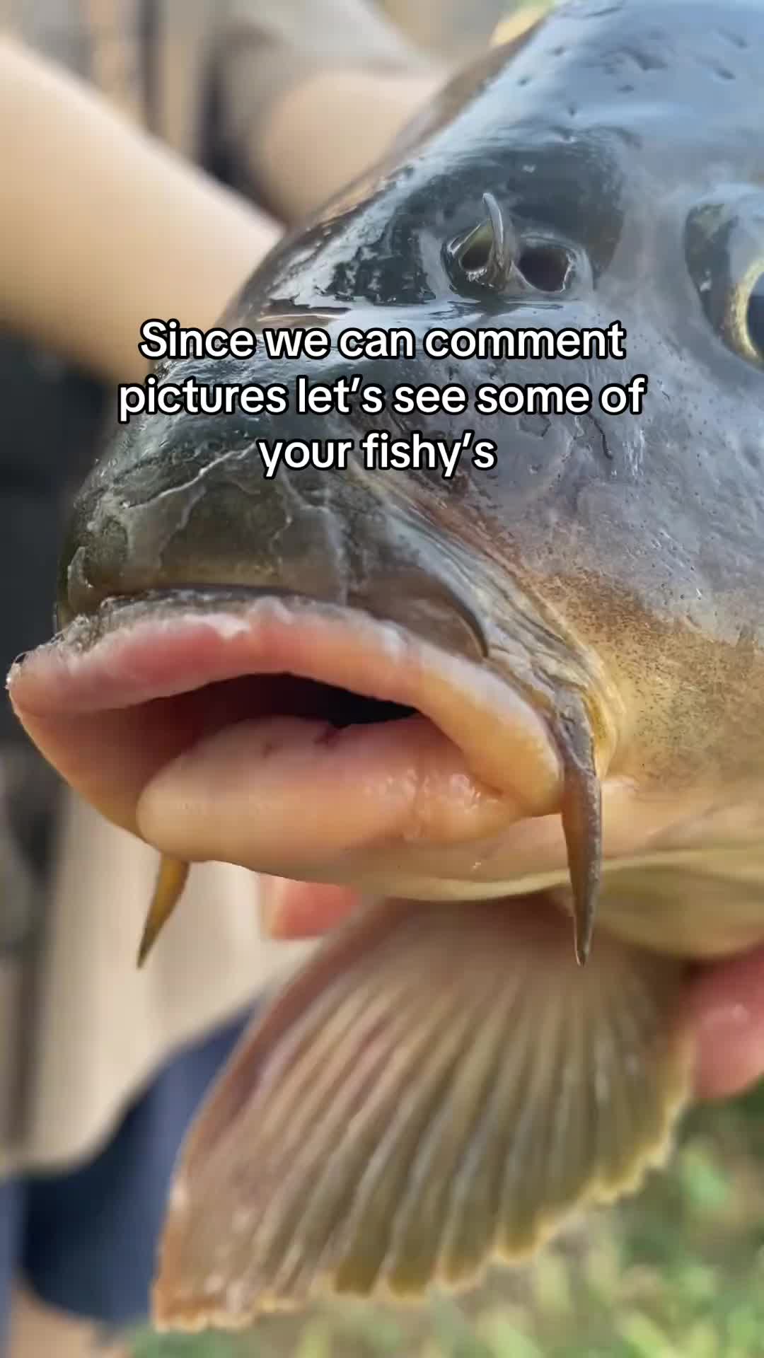 @jxbm05