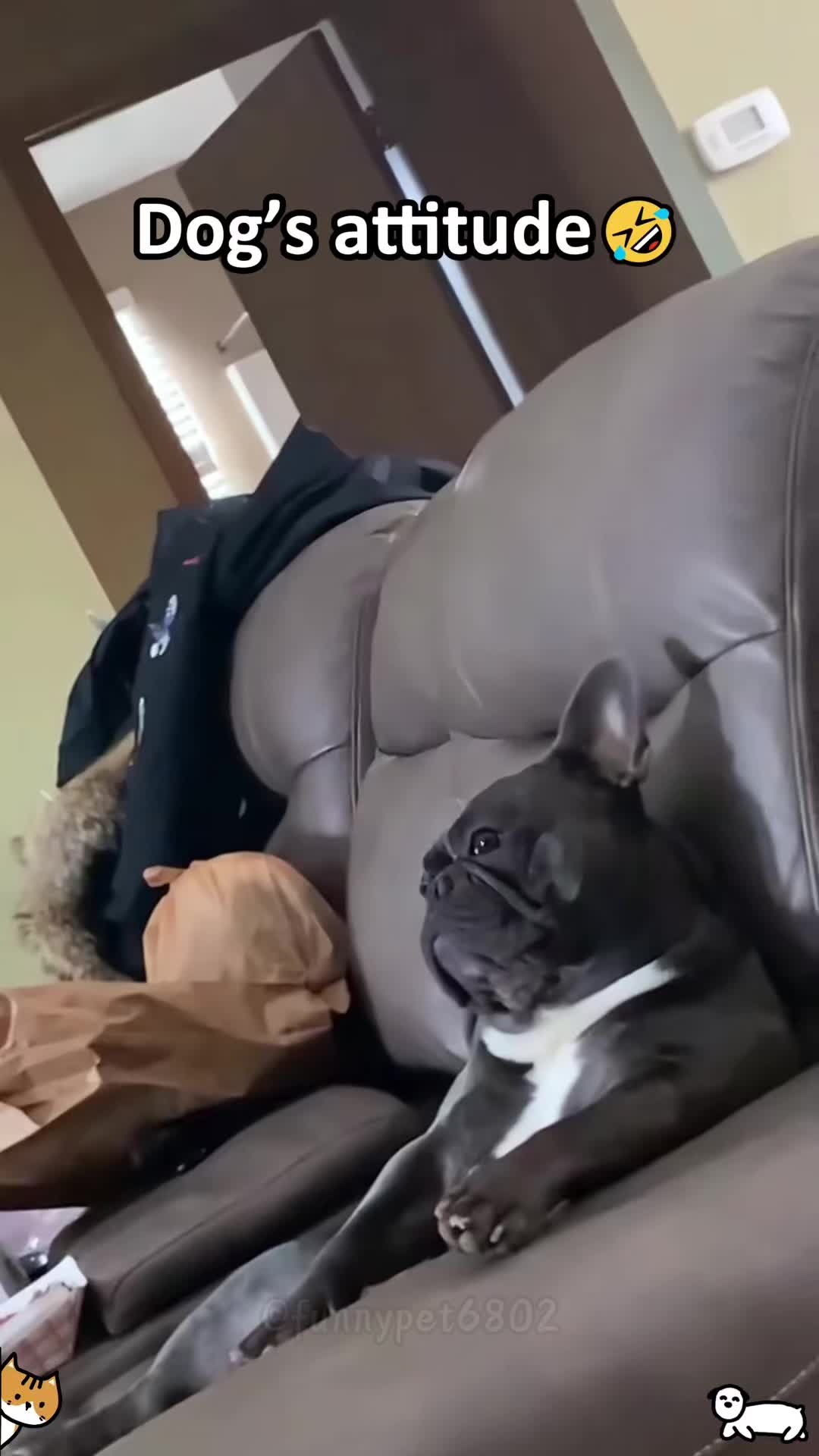 @lolmoments6802