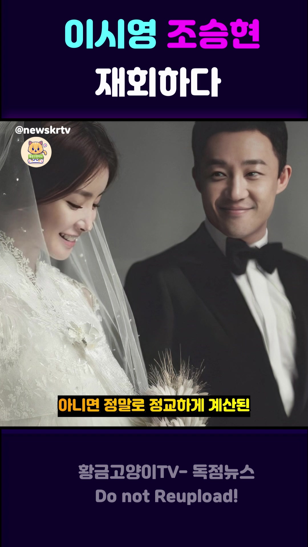 @황금고양이TV