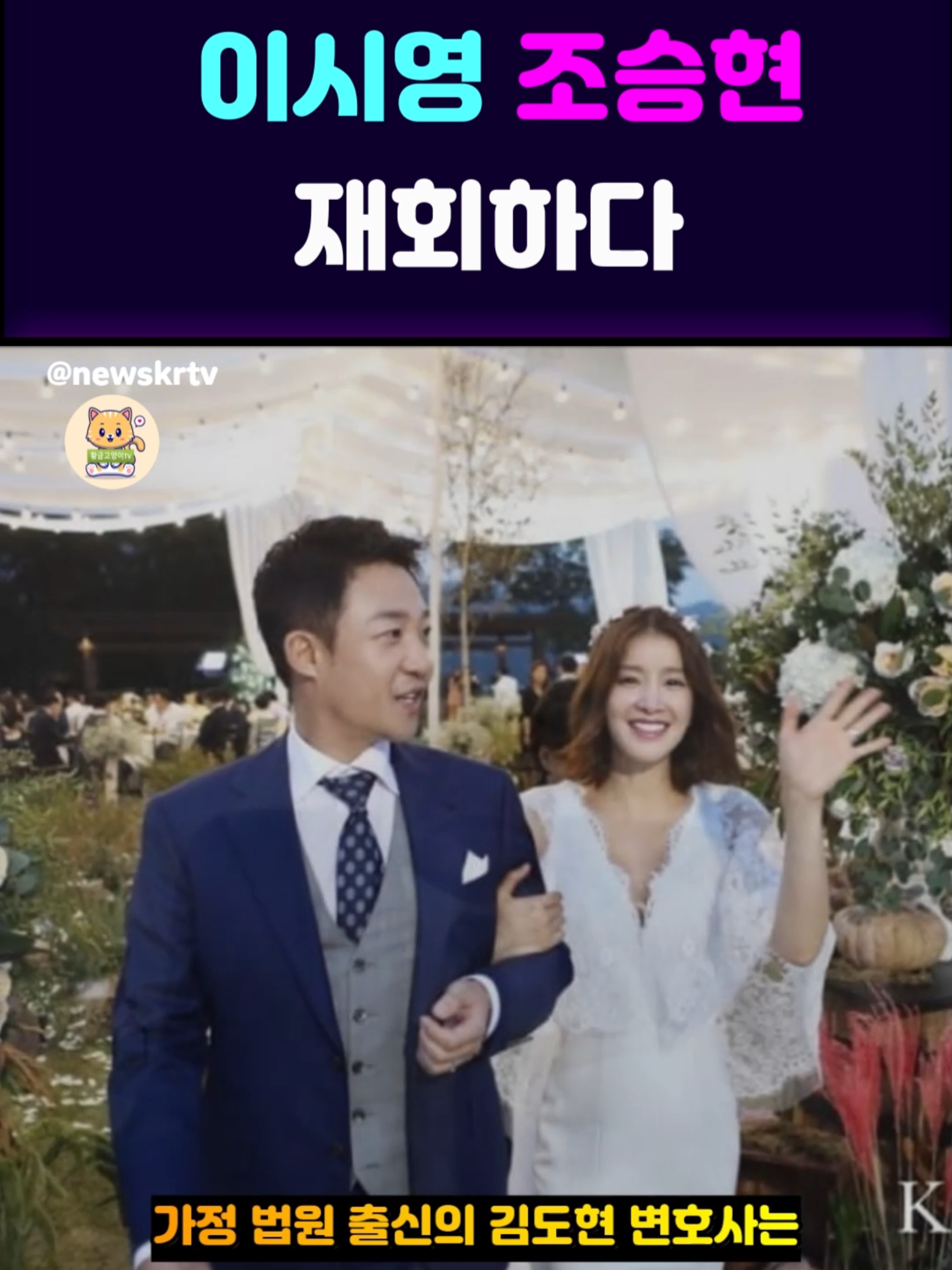 @황금고양이TV