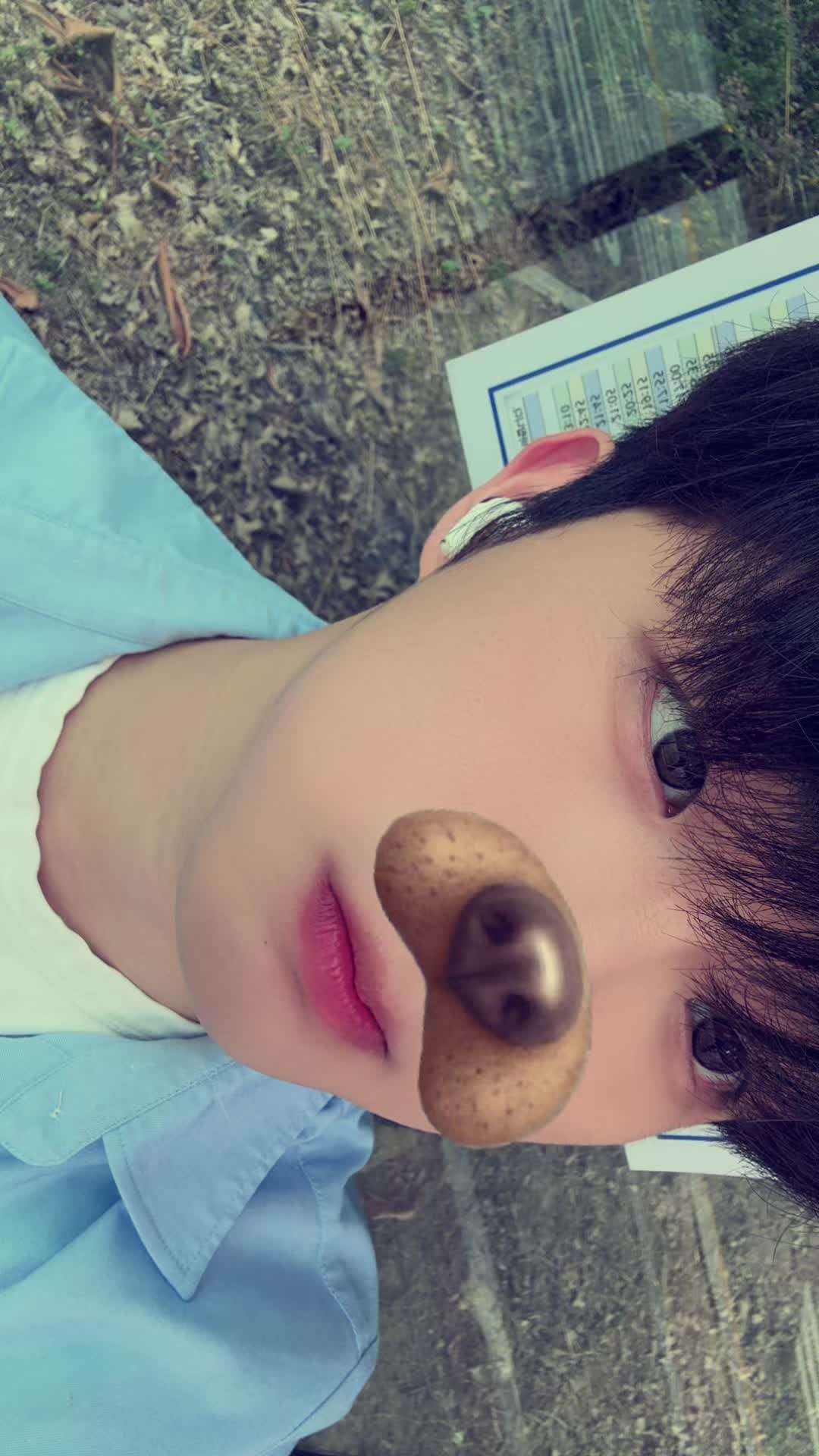 @고양이여덟마리키우는사람