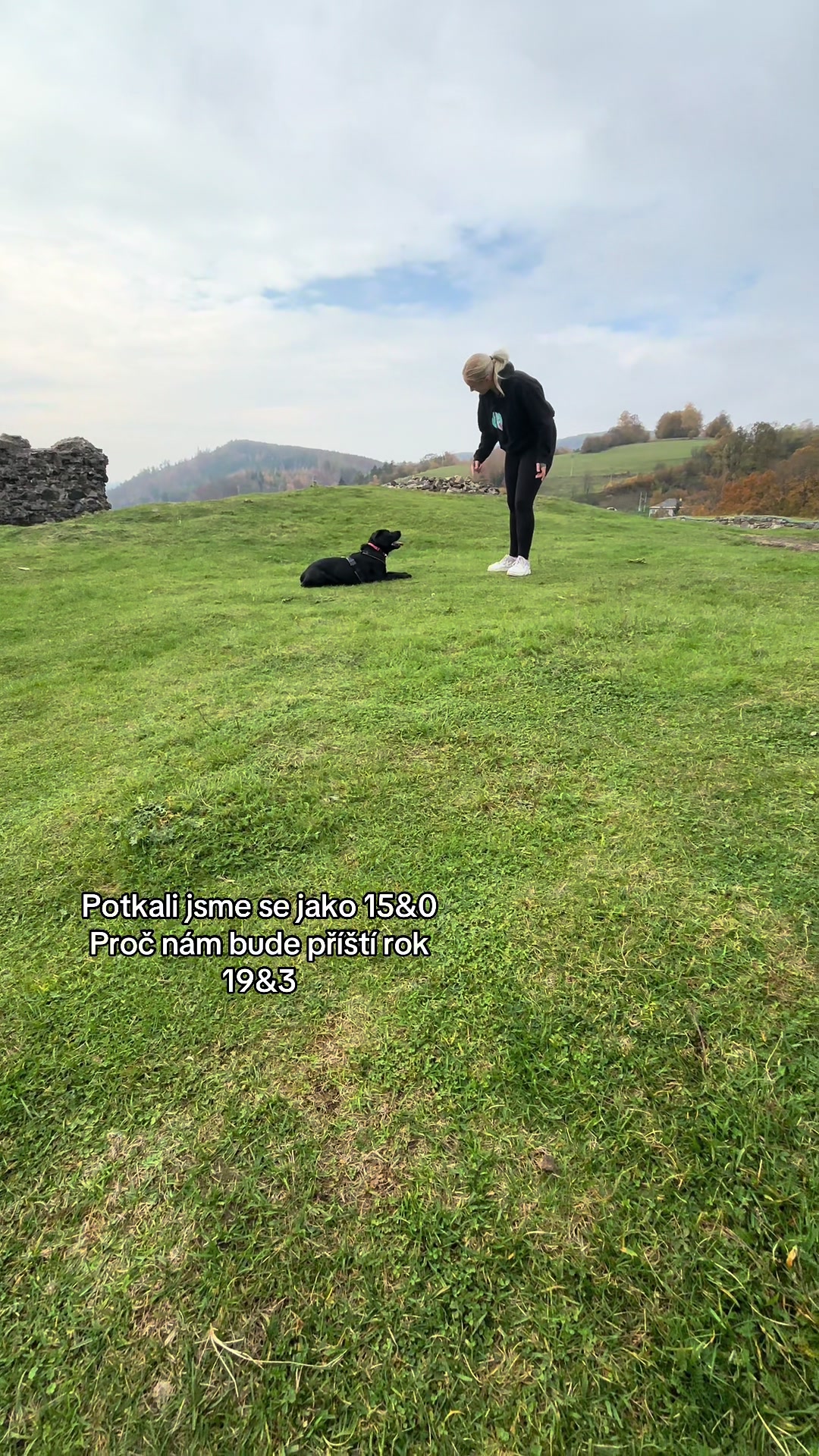 @labradors_gang_plus_one