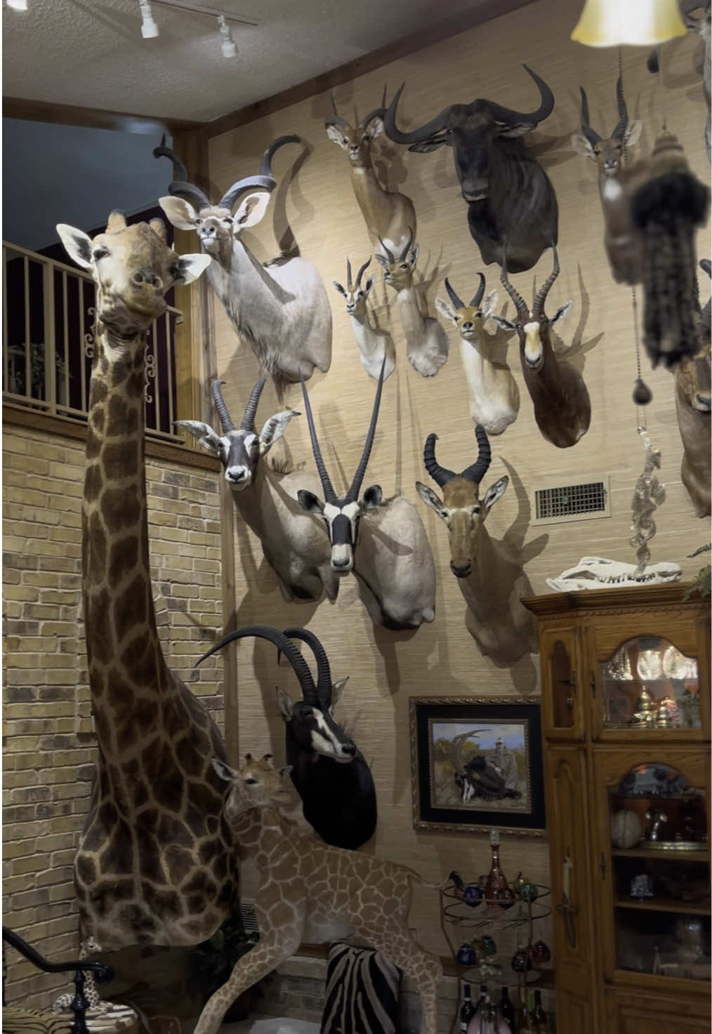 @Safari Studios